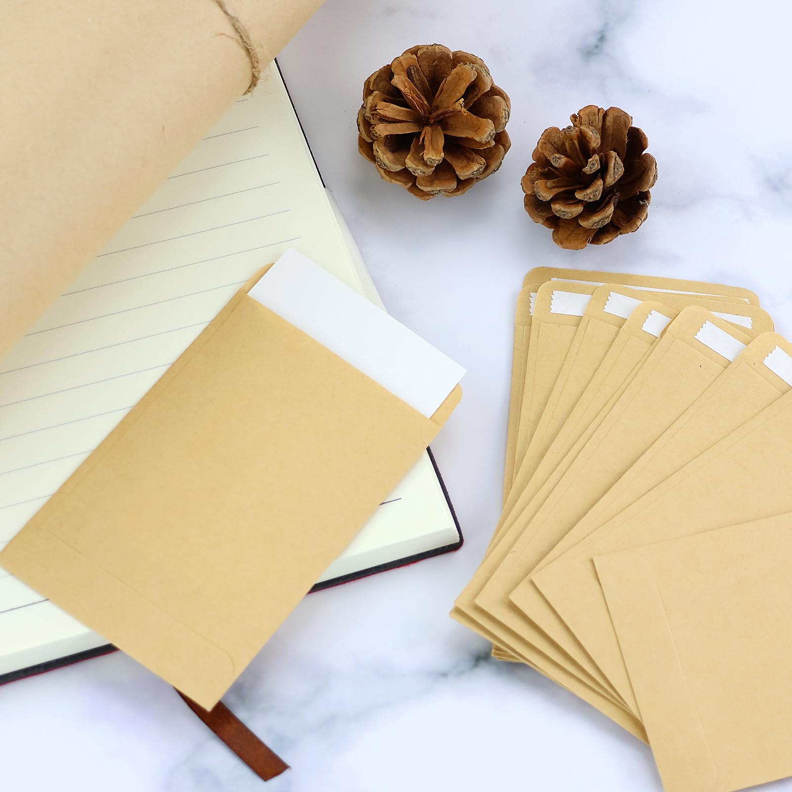 150 Pezzi Mini Sacchetto di Carta Kraft Busta Pacchetti per Semi (6x9) con Nastro Biadesivo