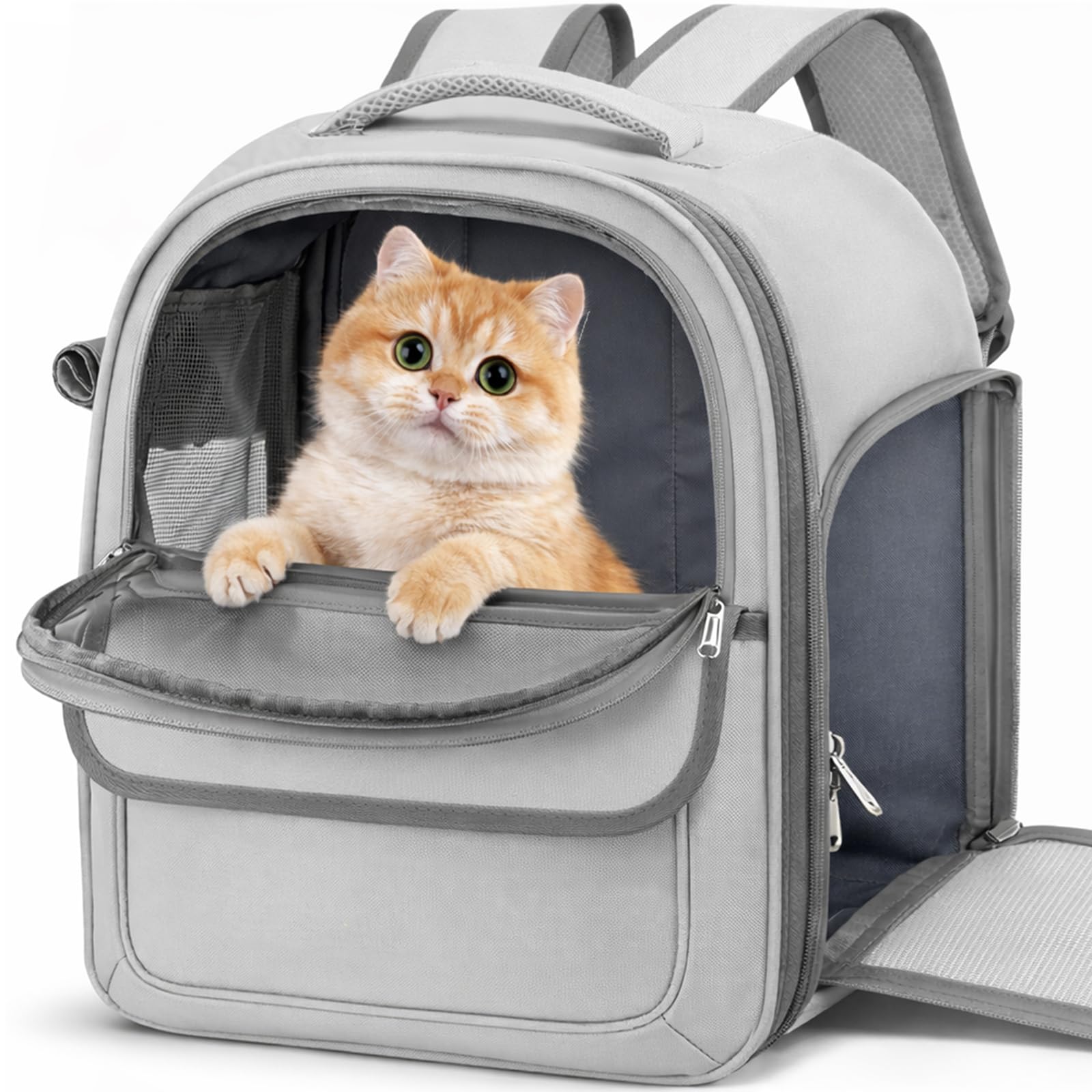 Amazon.co.jp: Athvcht ペットバックパック 猫 キャリーバッグ 犬
