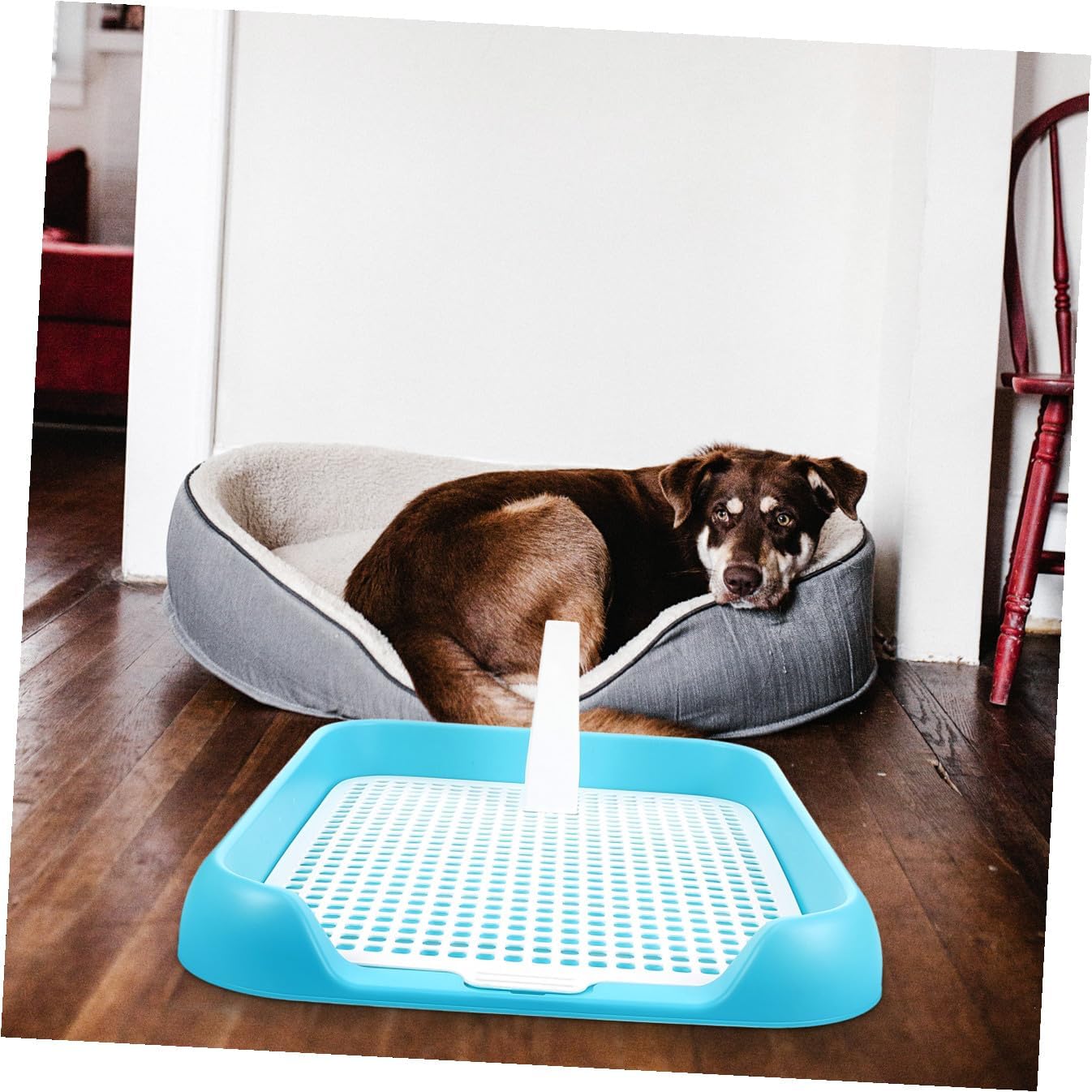 Training Pads for Dogs Mesh Dog Toilet Pet Toilet Training Potty Incontinence Pads