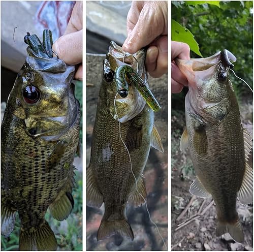 Miniatura 4 de LOWIFAR Anzuelos para bajo Ned Rig Finesse Shroom Jig Heads Fishing Mushroom Hooks Kit Head Crappie Jigs Ganchos para señuelo suave