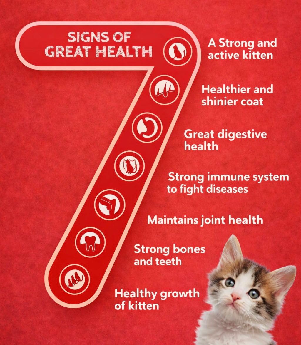 Breedo Breedo Ocean Fish Flavour Kitten Cat Food-400gm | Contains 41 Essential Nutrients | Complete & Balanced Nutrition for Kitten Cats. 2