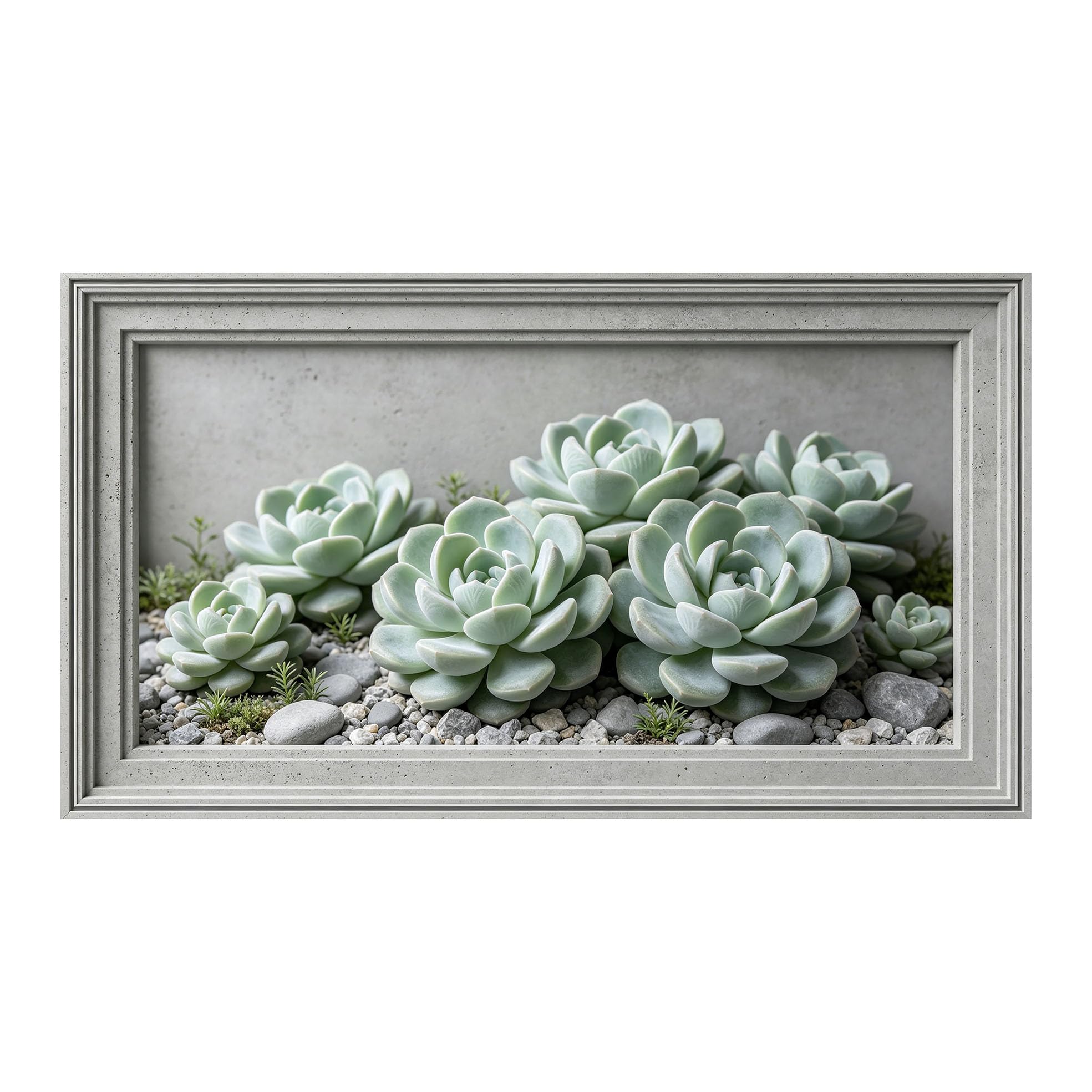 Murasolite 3D Framed Wall Art Succulent Botanical Minimalist Realistic SelfAdhesive Fabric Mural Wall Decor， Peel and Stick No Damage to Wall， AntiFall Safe Design for Bedroom Living Room