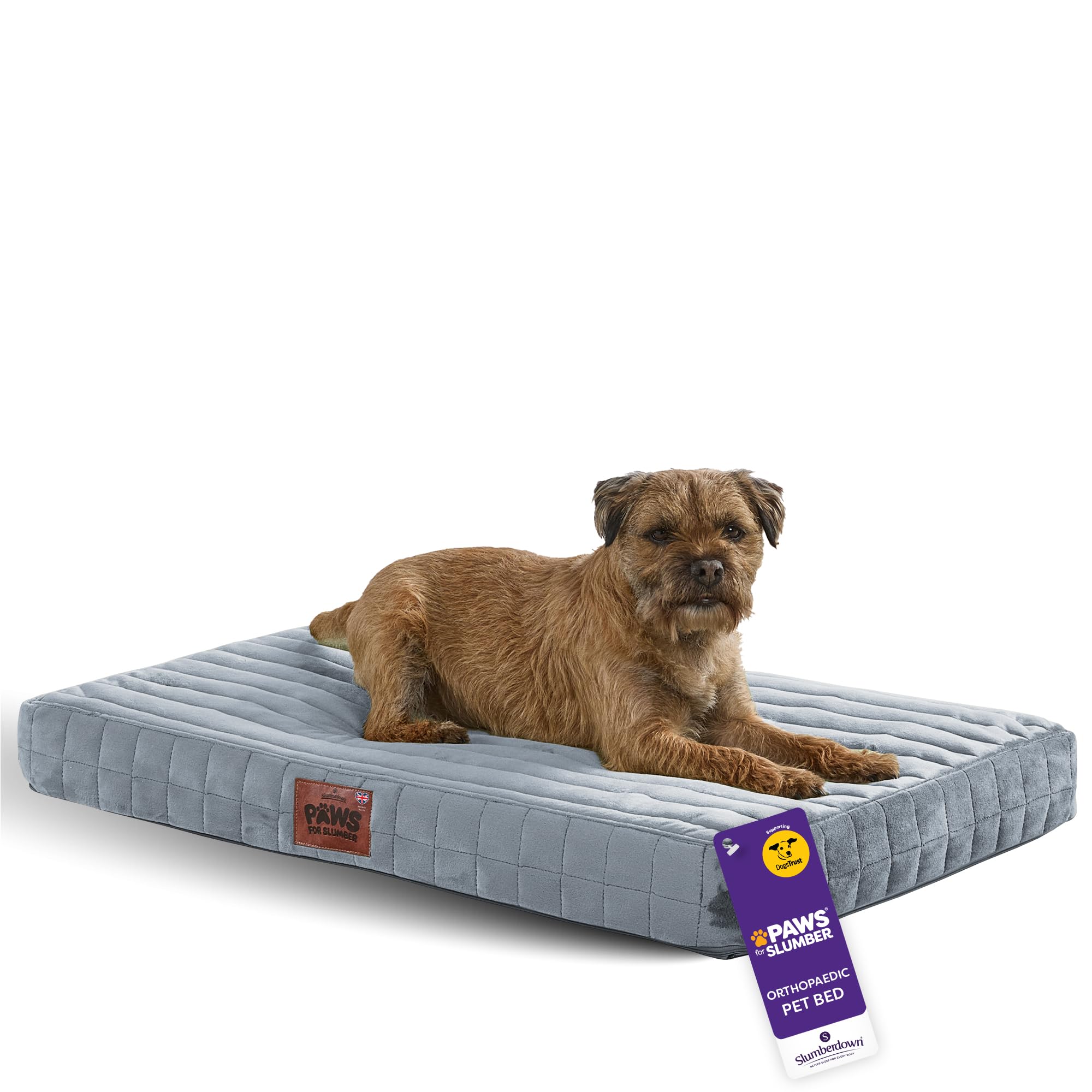 Slumberdown Orthopedic Dog Bed Medium - Supportive, Cushioned & Washable Crate Mattress for Dogs & Cats | UK-Made, Joint & Pressure Relief, Edge-to-Edge Support, Grey