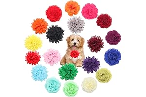Stylish Floral Dog Collar Accessory (20 Pieces)