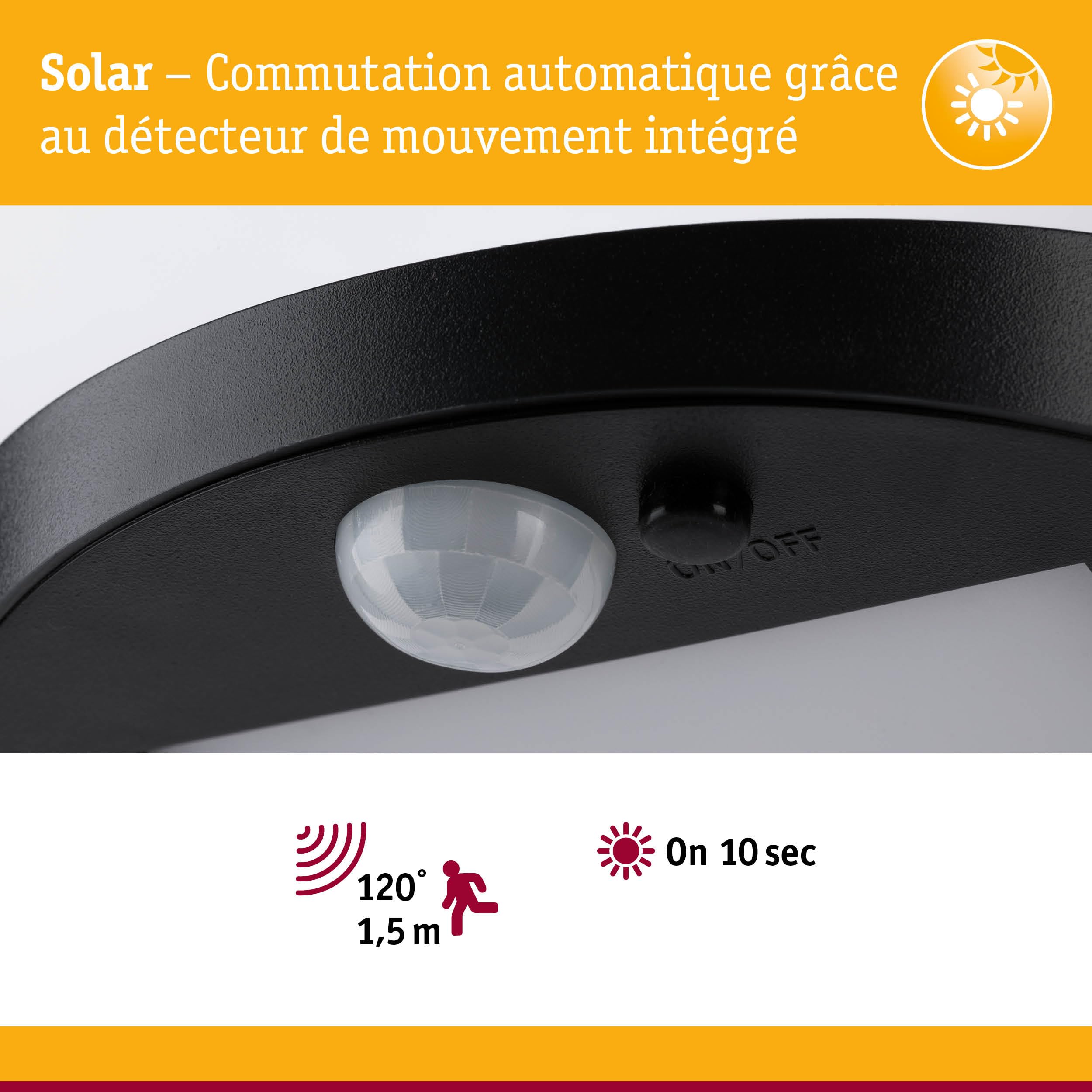 Paulmann 94249 Ryse Luminaire d'extérieur LED solaire avec 1 x 1,2 W anthracite plastique 3000 K blanc chaud 1,2 W