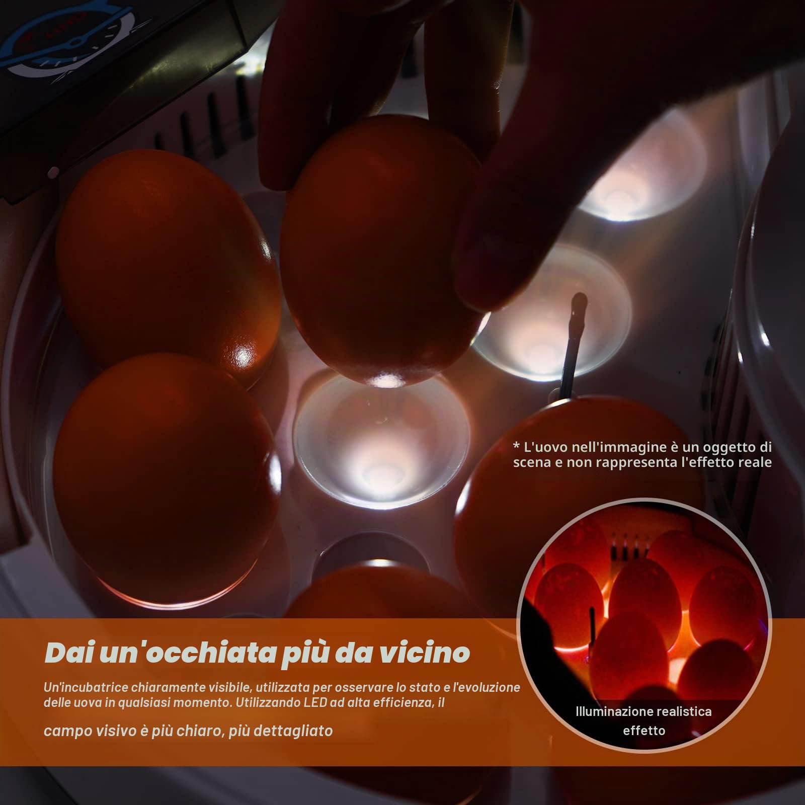 9 uova Mini incubatrice digitale LED Incubatrice completamente automatica Incubatrice per pollame Incubatrice per polli Anatre Oche Uccelli Quaglie