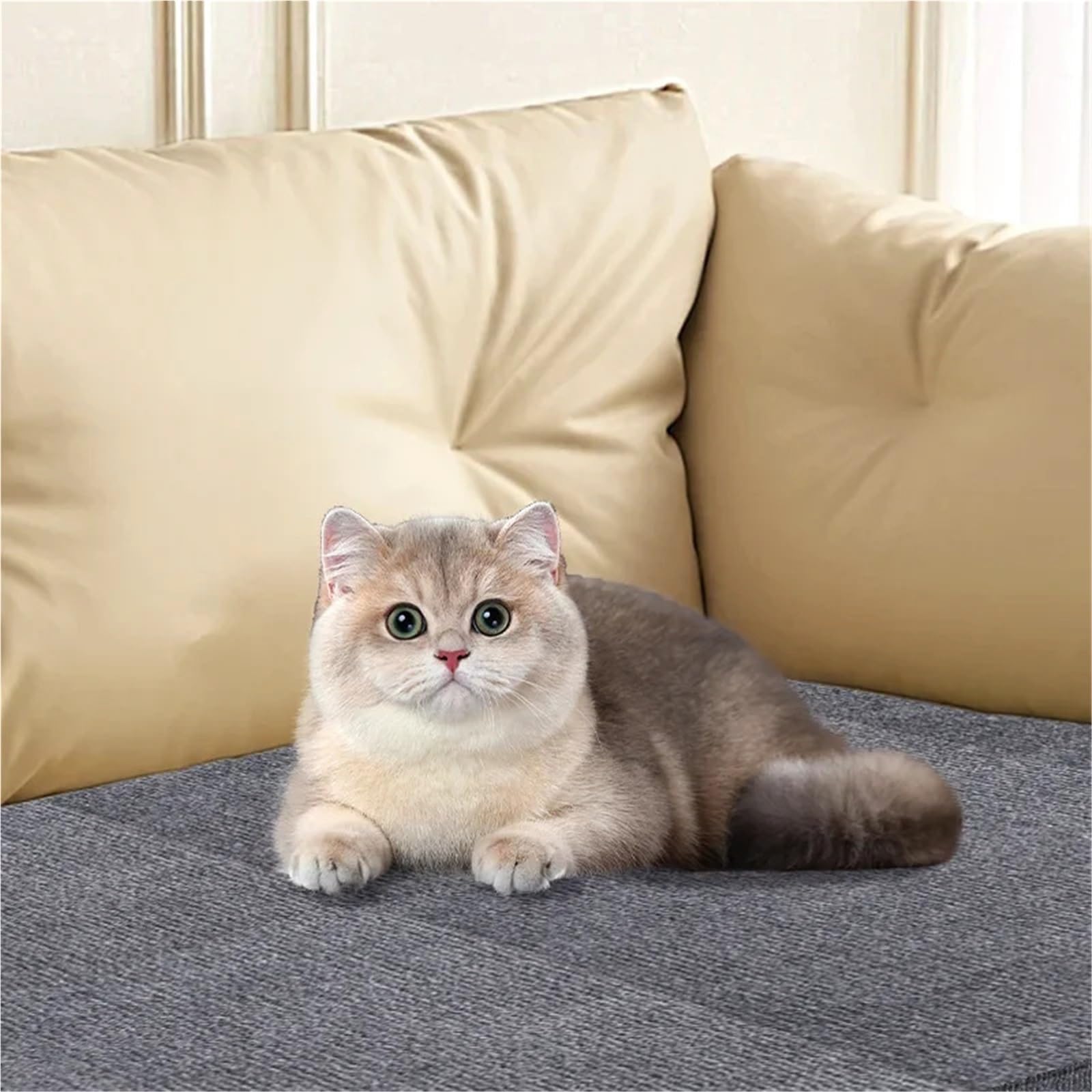 Kratzschutz Sofa Katze Selbstklebende Katzenkratzmatte, Möbelschutzdecke(Dark Gray,60x100cm)