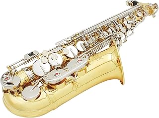 LANGLIE Alto Saxophone Sax Polished Brass Engraved Eb E- flat Button Natural White Shell Wind Instrument With Case Silent Gloves Belt Saxophone
