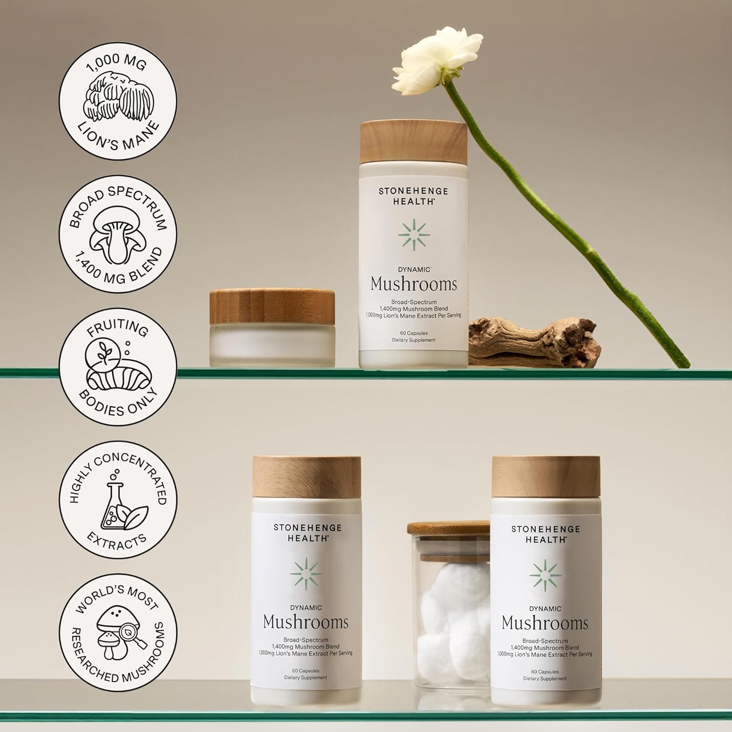 Stonehenge Health Dynamic Mushrooms 1,400 mg Per Serving, 5 Mushroom Complex (Lion’s Mane, Reishi, Chaga, Maitake, Shiitake) 100% Fruiting Bodies, No Mycelium – Brain, Memory & Immune Support 60 Caps