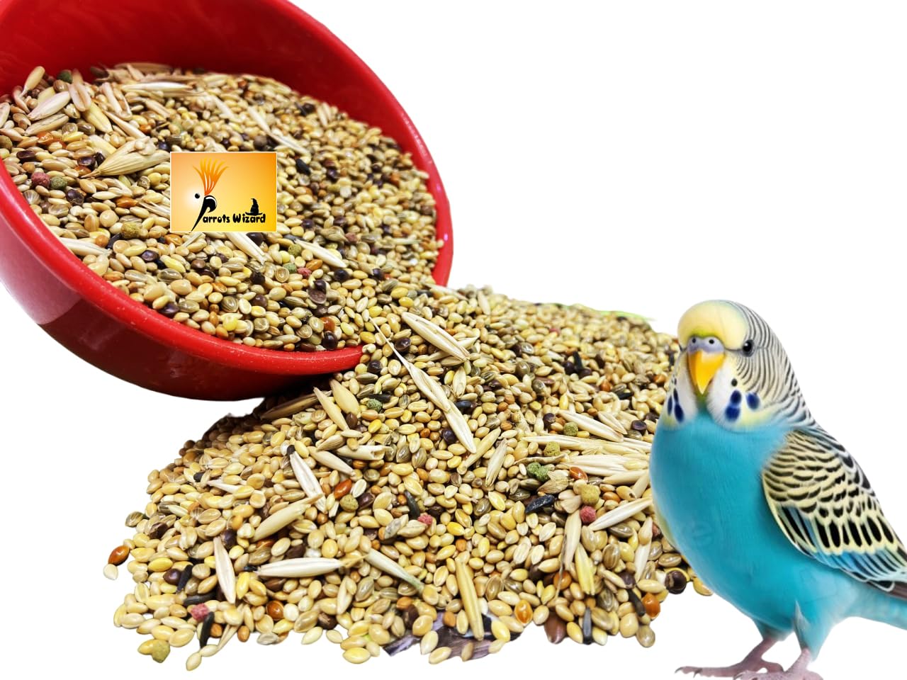 Parrots Wizard Bird Food for Budgies - 3800 Grams | Natural & Healthy Mix Seeds, | Daily Bird Budgies Food Mix Seeds| All Life Stages (B0DHPJV6PV) Amazon Price History, Amazon Price Tracker