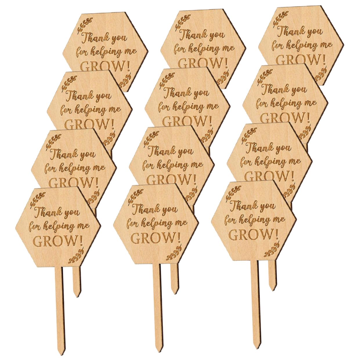 ifundom 5 Set Carta Succulenta Marcatori Da Giardino Etichette Delle Piante Pianta All'aperto Pannelli Di Identificazione Dei Fiori Dell'etichetta Del Vaso Di Legno 20 Pezzi * 5
