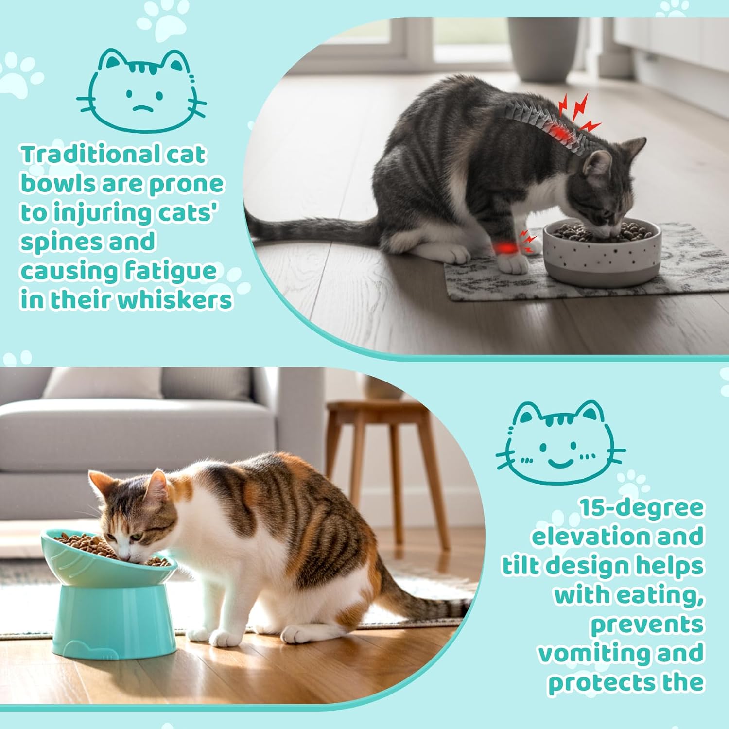 9 Pcs Plastic Raised Cat Bowls Bulk Elevated Tilted Dishes 15 Degrees Tilted Anti Vomiting Friendly Food Water Feeder Pet Slanted Stand Bowl for Indoor Cats Shelter(Classic,Elegent Color)