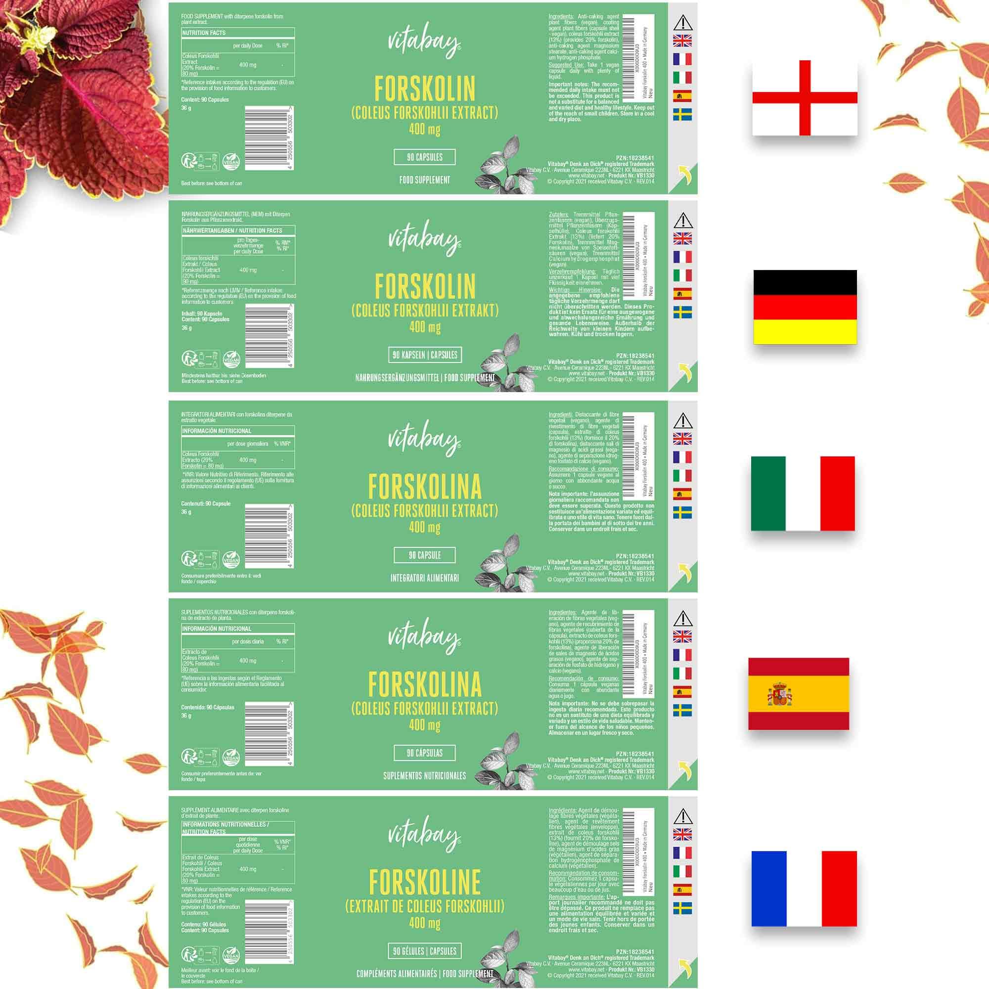 Vitabay Forskolina 400 mg alto dosaggio – 90 capsule vegane – Estratto di Coleus forskohlii, radice dell'ortica indiana – vegano & testato in laboratorio in Germania – scorta 3 mesi