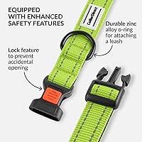 Vista 73 de CollarDirect Reflective Dog Collar for a Small, Medium, Large Dog or Puppy with a Quick Release Buckle - Boy and Girl - Nylon Suitable for Swimming