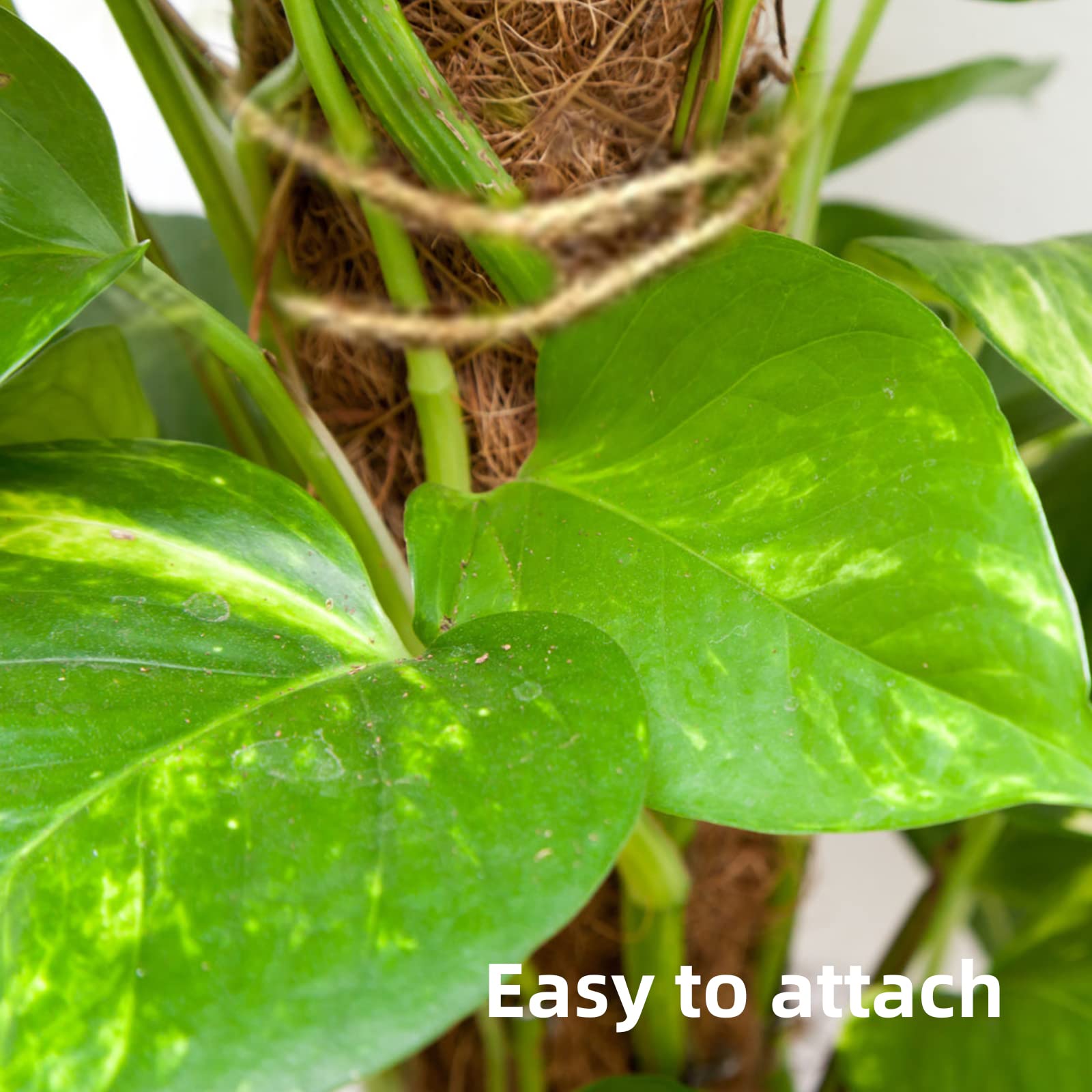 Pali Di Muschio Per Piante Rampicanti - 2 Pezzi 71cm Con Corda Di Iuta - Foto 7