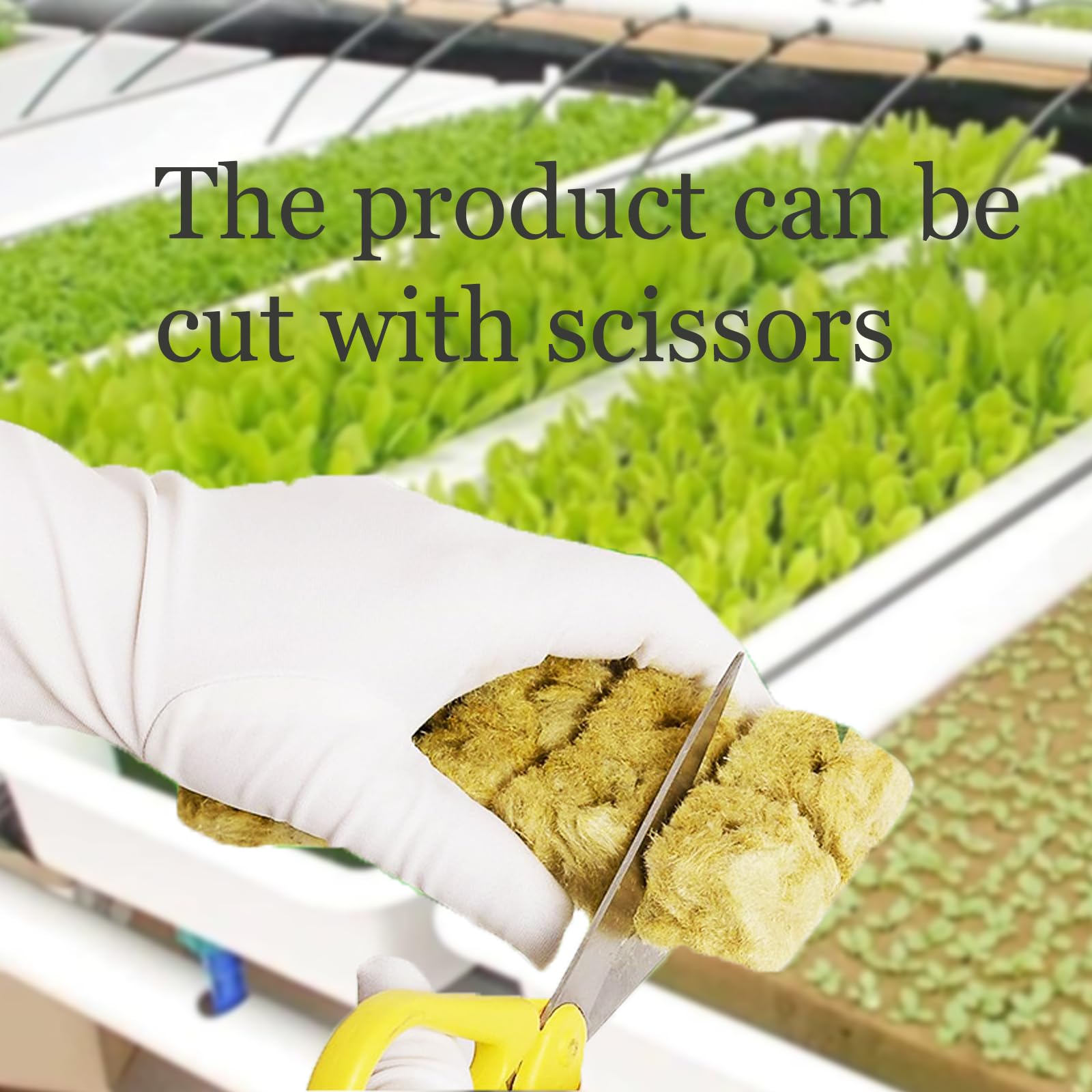72 Pezzi Cubetti di Lana di Roccia, Rockwool Grow Cubes, Cubetti Lana di Roccia Ldroponica, 3 X 3 X 4cm, per Il Trapianto di Cultura Soilless