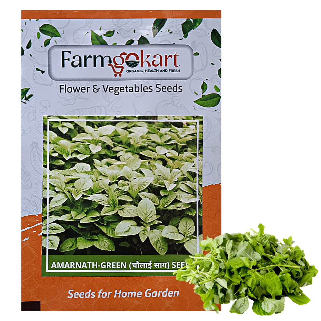 See full amazon price history chart for FARMGO 10 Gms AMARNATH - CHAULAI KEERAI (GREEN) SEEDS, Vegetable Seeds for Home Gardening, Farming, Hydroponics and Poly Houses FARMGO 10 Gms AMARNATH - CHAULAI KEERAI (GREEN) SEEDS, Vegetable Seeds for Home Gardening, Farming, Hydroponics and Poly Houses (B0BX6QKM85) Amazon Price History, Amazon Price Tracker