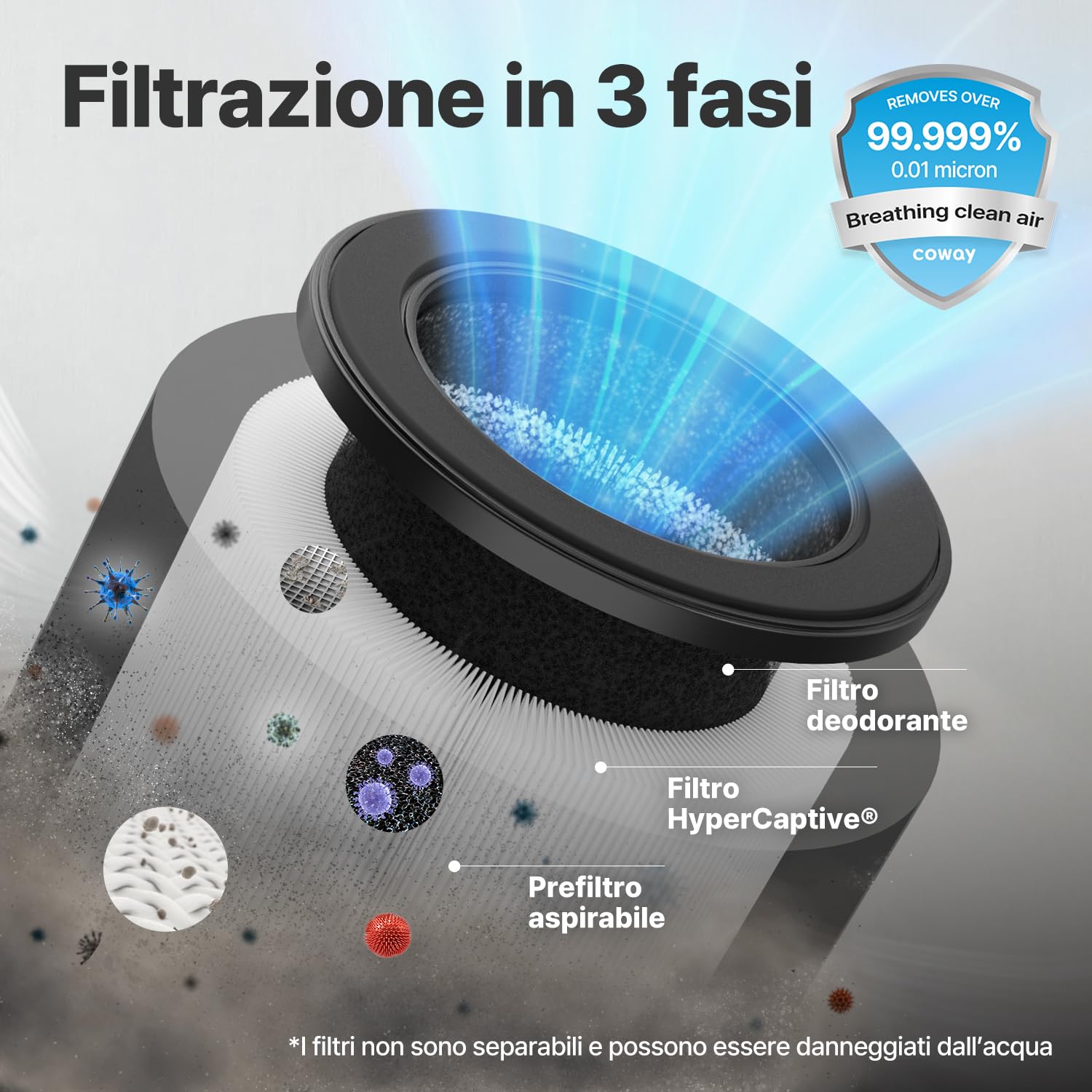 Airmega 50 Filter