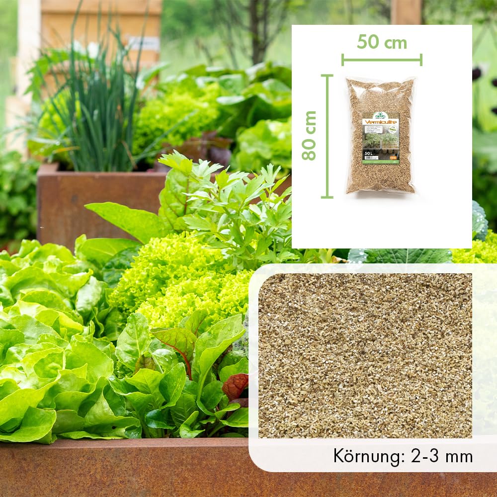 Vermiculite für Pflanzen – Wasserspeicherndes Substrat für Anzucht, Aussaat & Stecklinge – Steriles Vermiculit für Erde & Pflanzenzucht – Fein oder Grob – 1L, 3L, 5L, 10L, 20L, 50L (fein, 50 Liter)