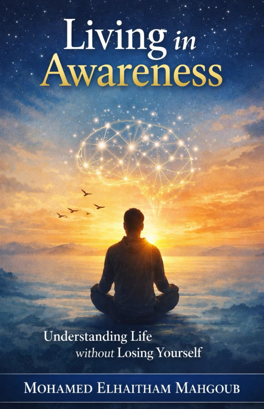 Living in Awareness: Understanding Life without Losing Yourself