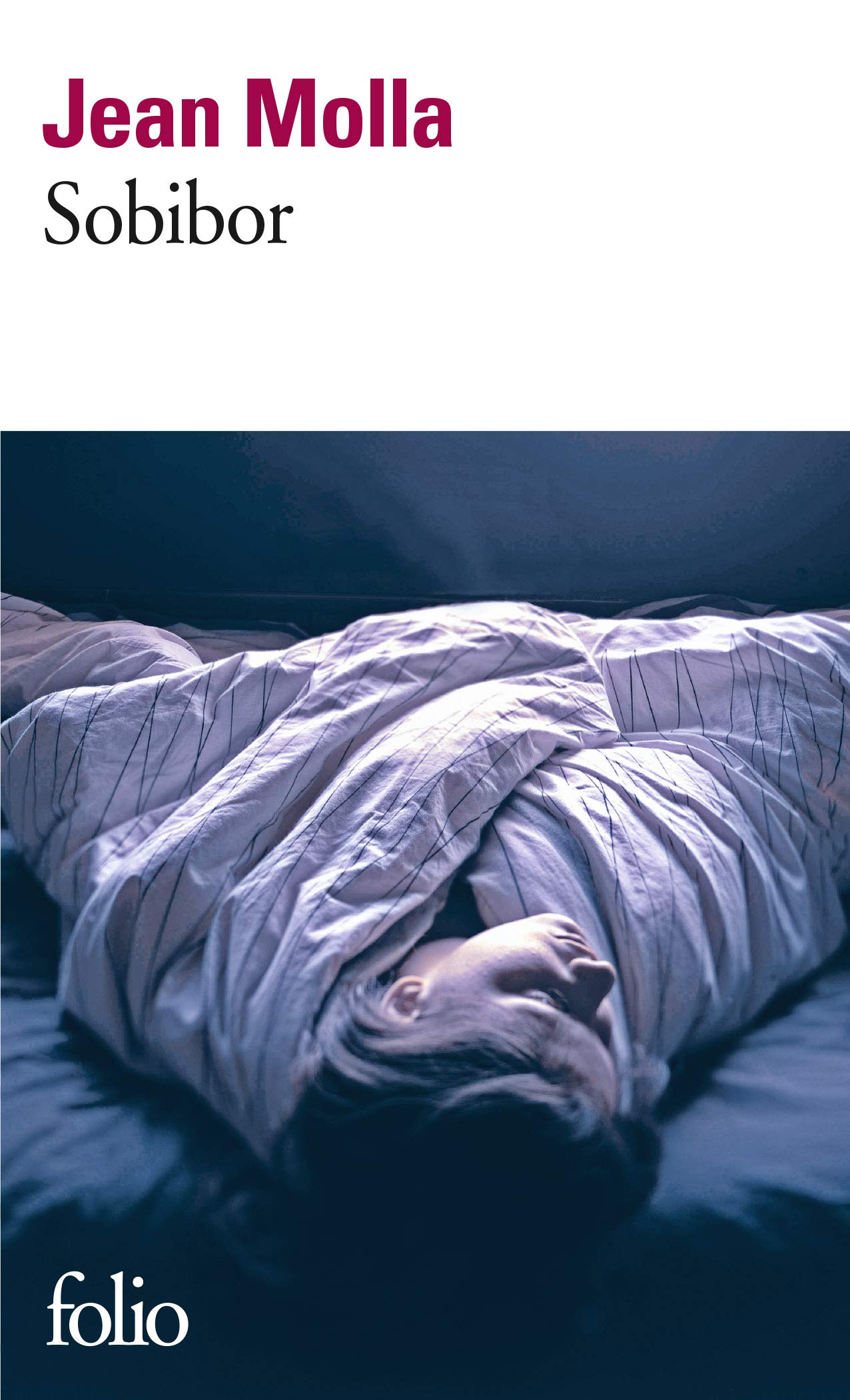 Felicidad Jean Molla Résumé Chapitre Par Chapitre Amazon.fr - Sobibor - Molla,Jean - Livres