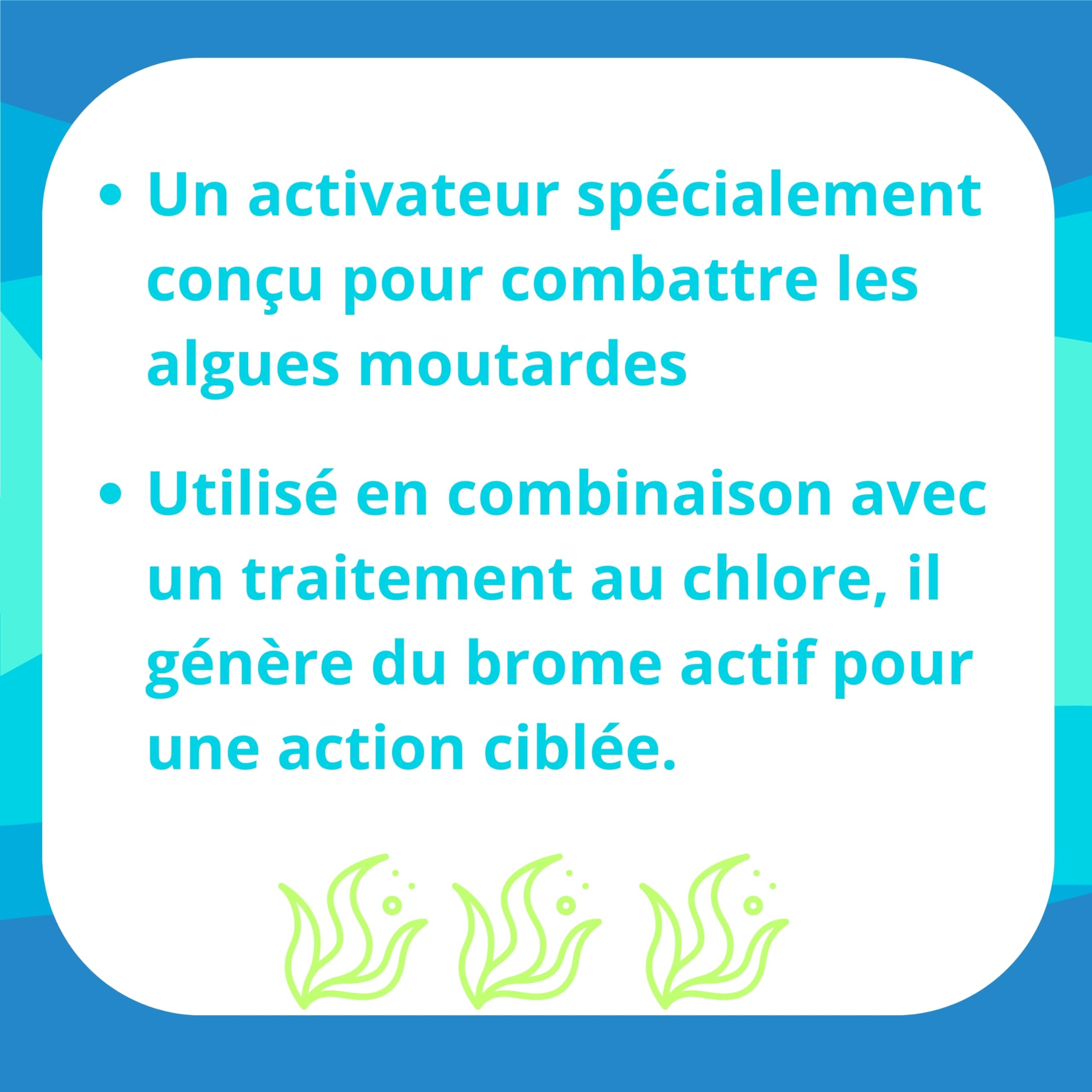 Activateur Efficace Contre Les Algues Moutardes pour Piscines - Compatible avec Traitement au Chlore, 1L - Conditionné en France
