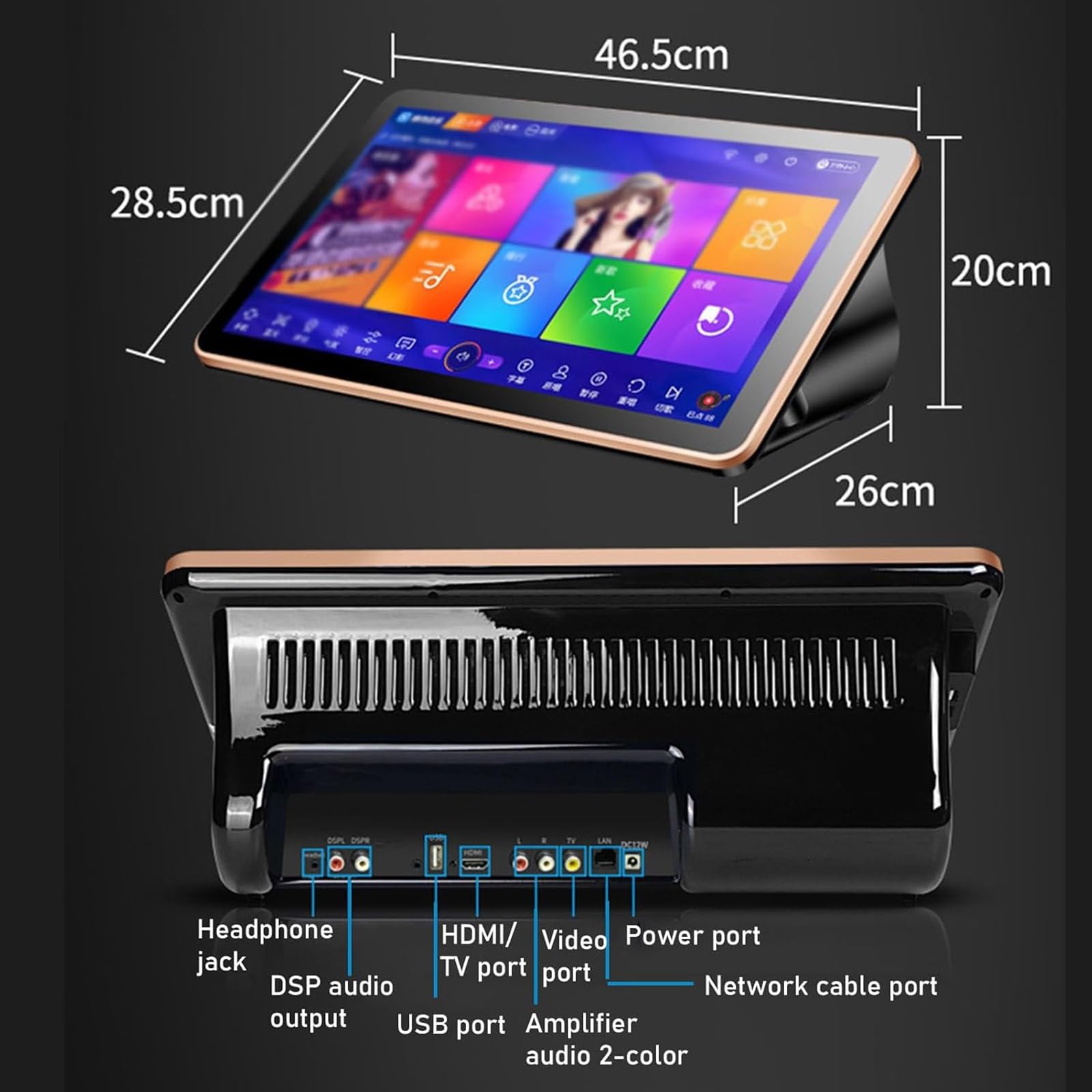 KTV Singing Karaoke Machine, 18.5 Inch Touch Screen Phone Remote & App Control Cloud Download Songs All in One Karaoke Player with Mic(2TB)