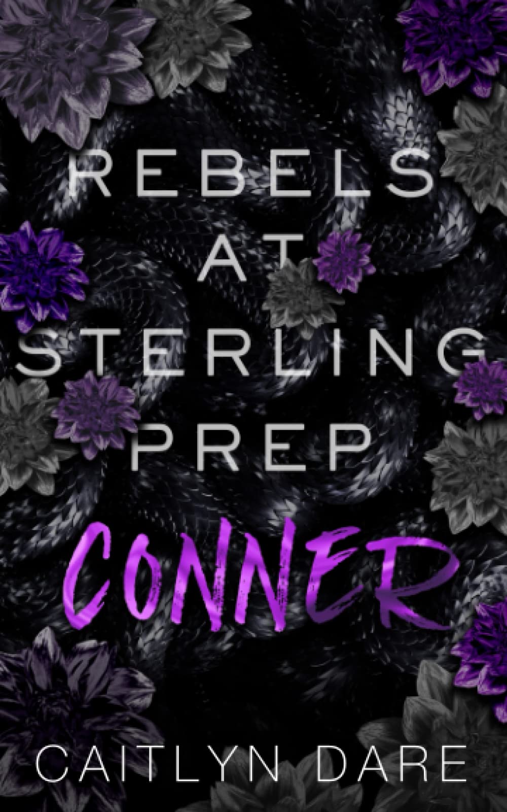 Rebels at Sterling Prep: Conner: A Dark High School Romance (Rebels at Sterling Prep Duets)
