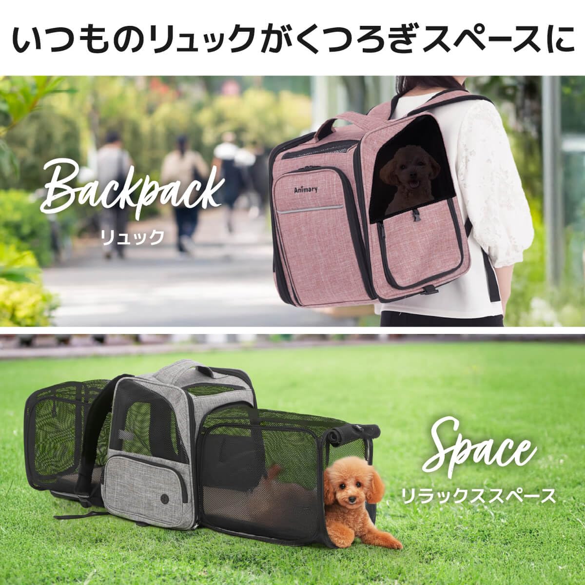 Amazon | Animary猫 キャリーバッグ 犬 キャリーバッグ 猫 キャリー