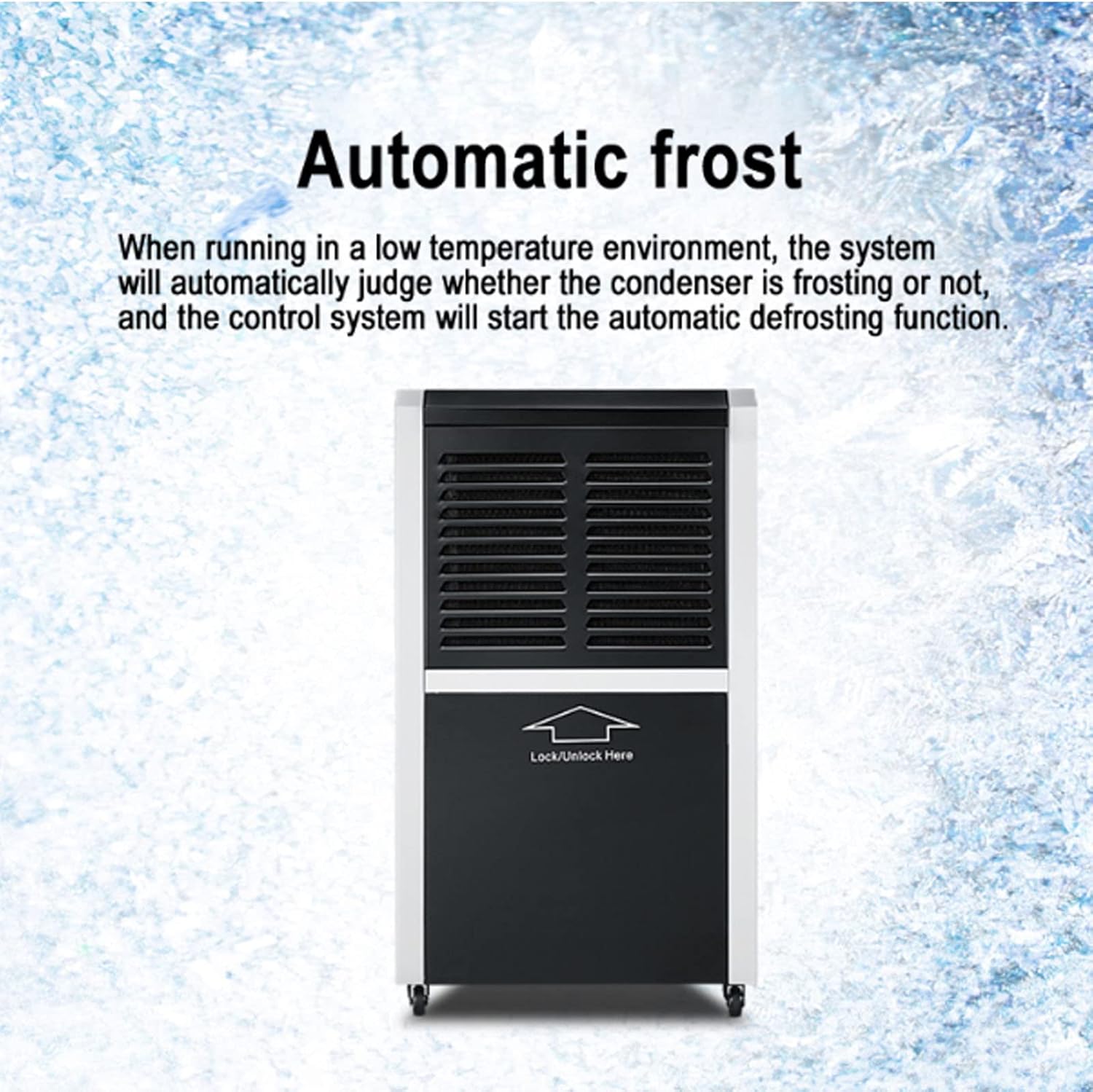 Foto del Deshumidificador