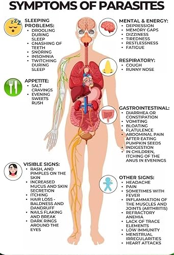 Miniatura 3 de Bilalax Limpiador de colon y desparasitante para humanos Limpiador de organismos no dañinos- Tratamiento de 5 días (5) sobres 0.71 oz