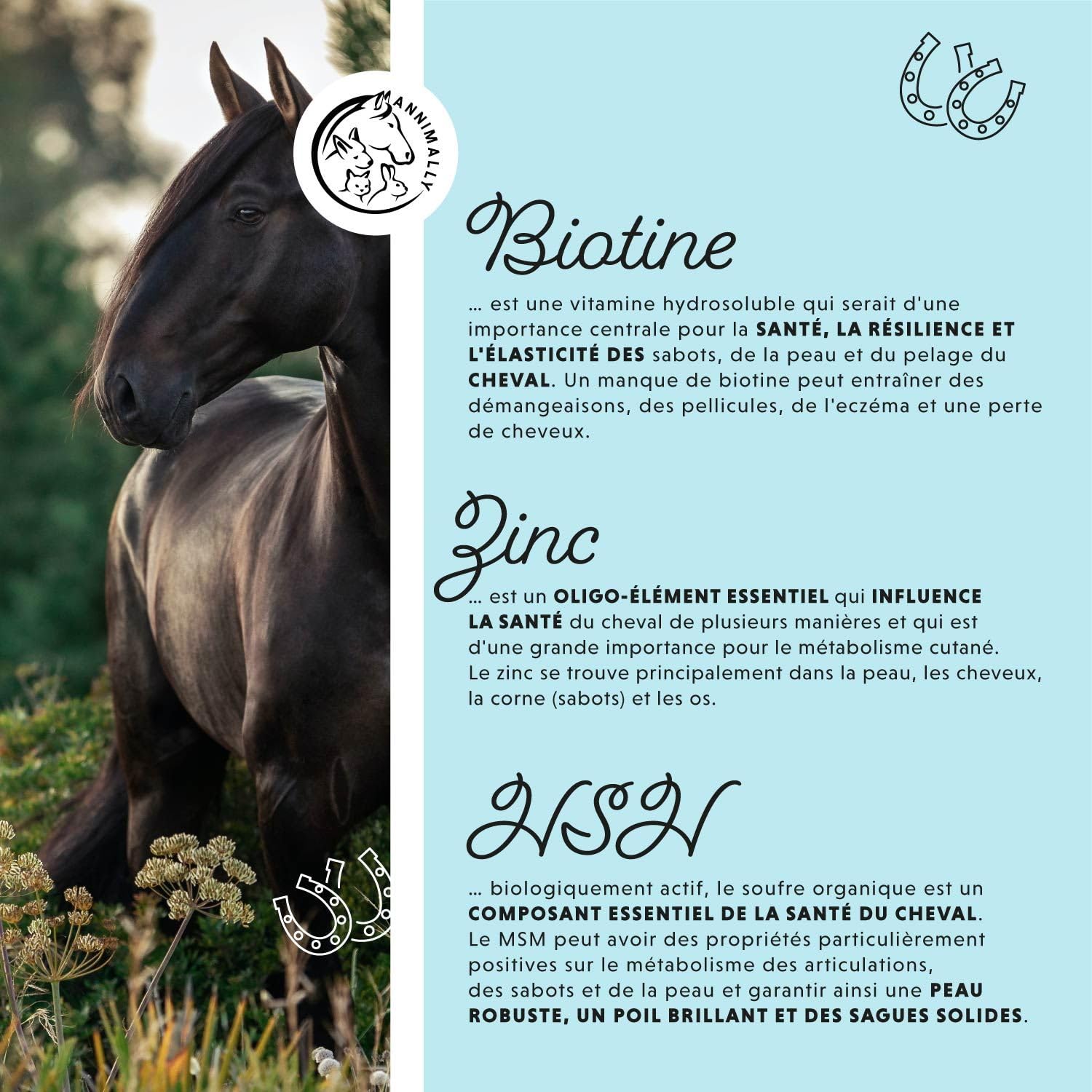 Cheval Biotine Zinc Liquide 1000 ML - Soin Peau Poils Sabots Chevaux - Biotine Zinc MSM Liquide Pelage Sain