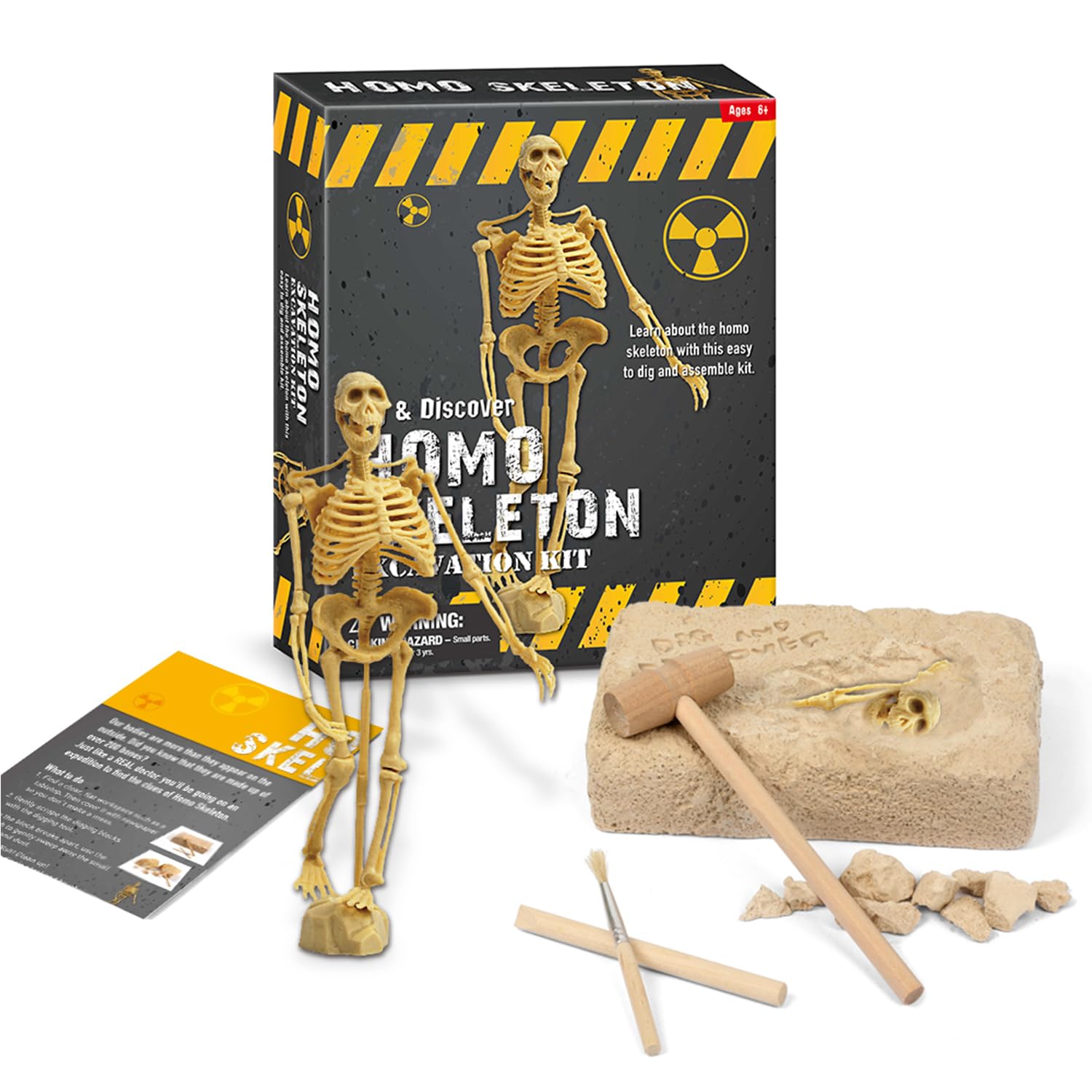 EDUMAN Homo Skeleton Dig Kit for Kids, Excavation Kit with Human Skeleton Model, Archaeology Science STEM Toy for Boys & Girls Age 6 7 8 9 10 11 12, Educational Digging Kit Gift