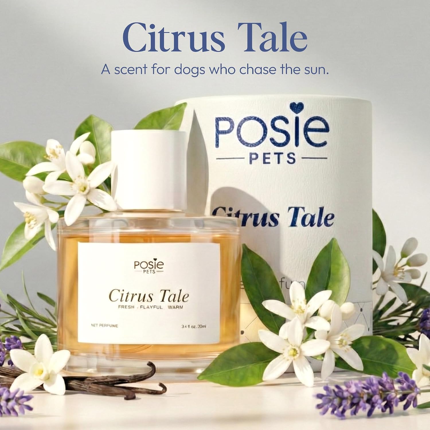 Perfume Gift Pack - Contains One Citrus Tale Fragrance, One Sweet Snooze Fragrance and Massage Brush