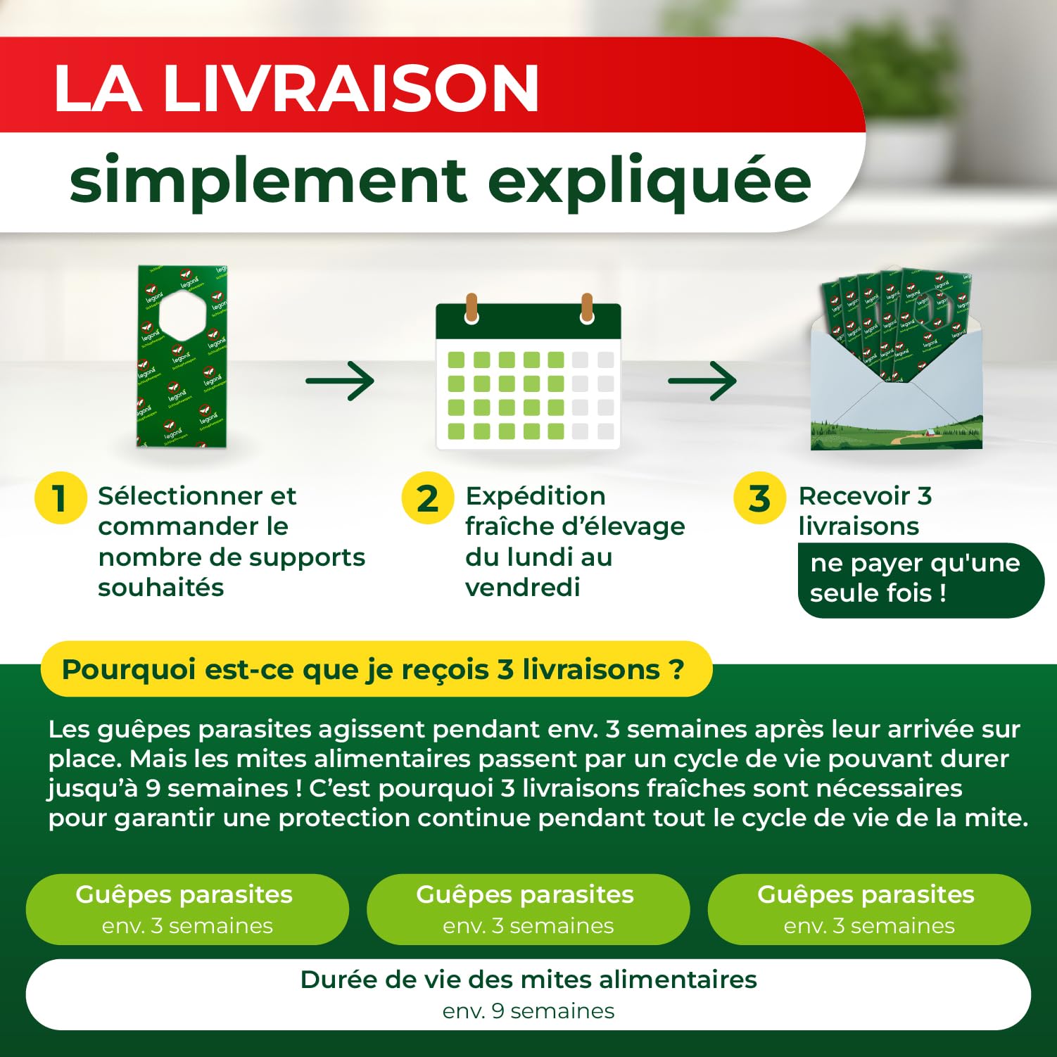 Legona Trichogrammes - 3 supports, 3 livraisons - Auxiliaires de lutte biologique contre les mites alimentaires pour cuisine et garde-manger