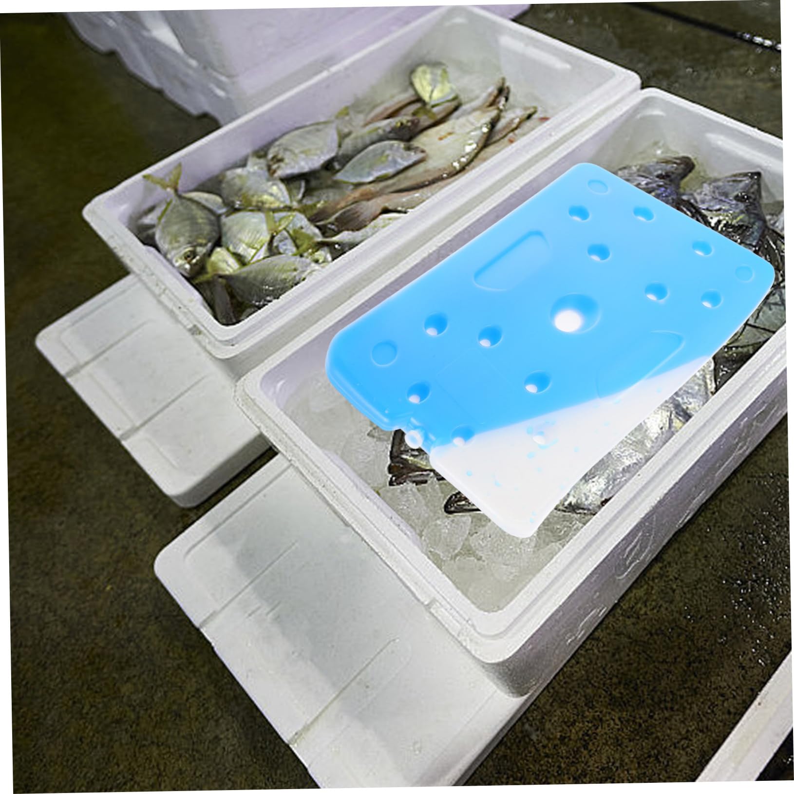 BESPORTBLE Blocs De Glace Réutilisables pour Boîtes À Lunch Glacières en Plastique De 1 500 ML