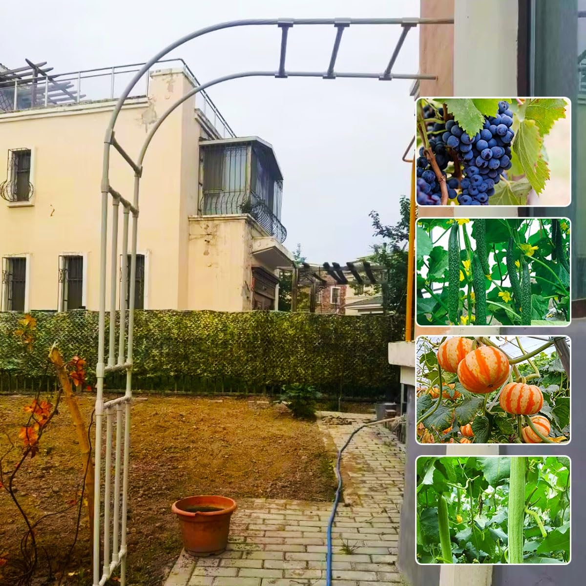 Arco da giardino in metallo per piante rampicanti, arco per rose a metà lato, decorazione per matrimoni, supporto da 60 cm a 300 cm, bianco, 260 x 240 cm (larghezza x altezza), perfetto per cerimonie