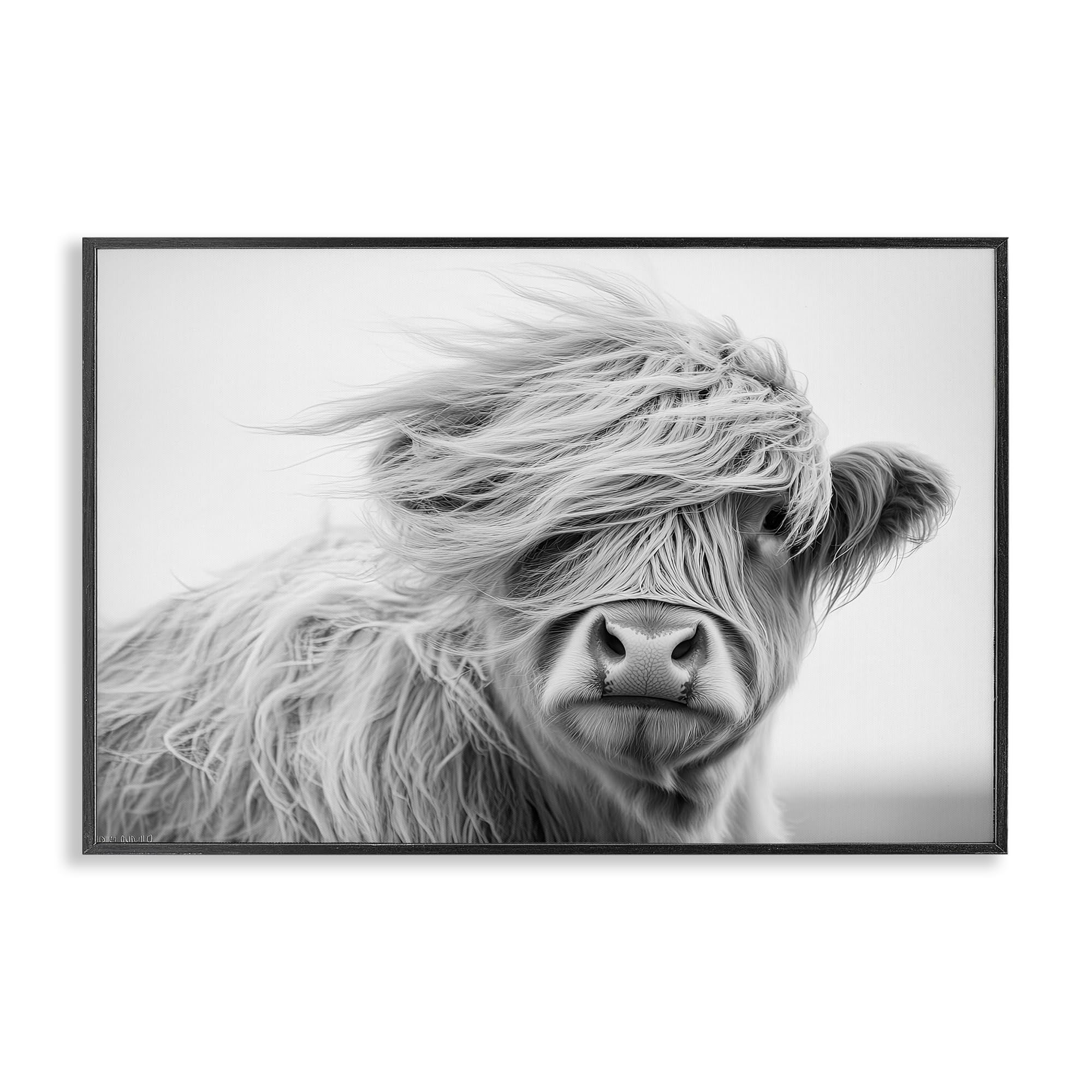 Stupell Industries 'Easy Breezy Highland', Framed Giclee Art, Black, 24 x 16 Inches, Easy to Hang and Sturdy, Made in USA, by Tina LeCour