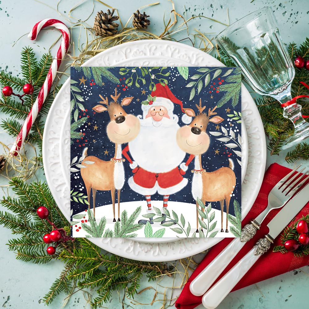 PAW - Tovaglioli di Carta (33 x 33 cm) I 20 Pezzi I Tovaglioli Natale Carta I 3 Veli I Tovaglioli Carta - Inverno, Babbo Natale I Colore: Santa is Here