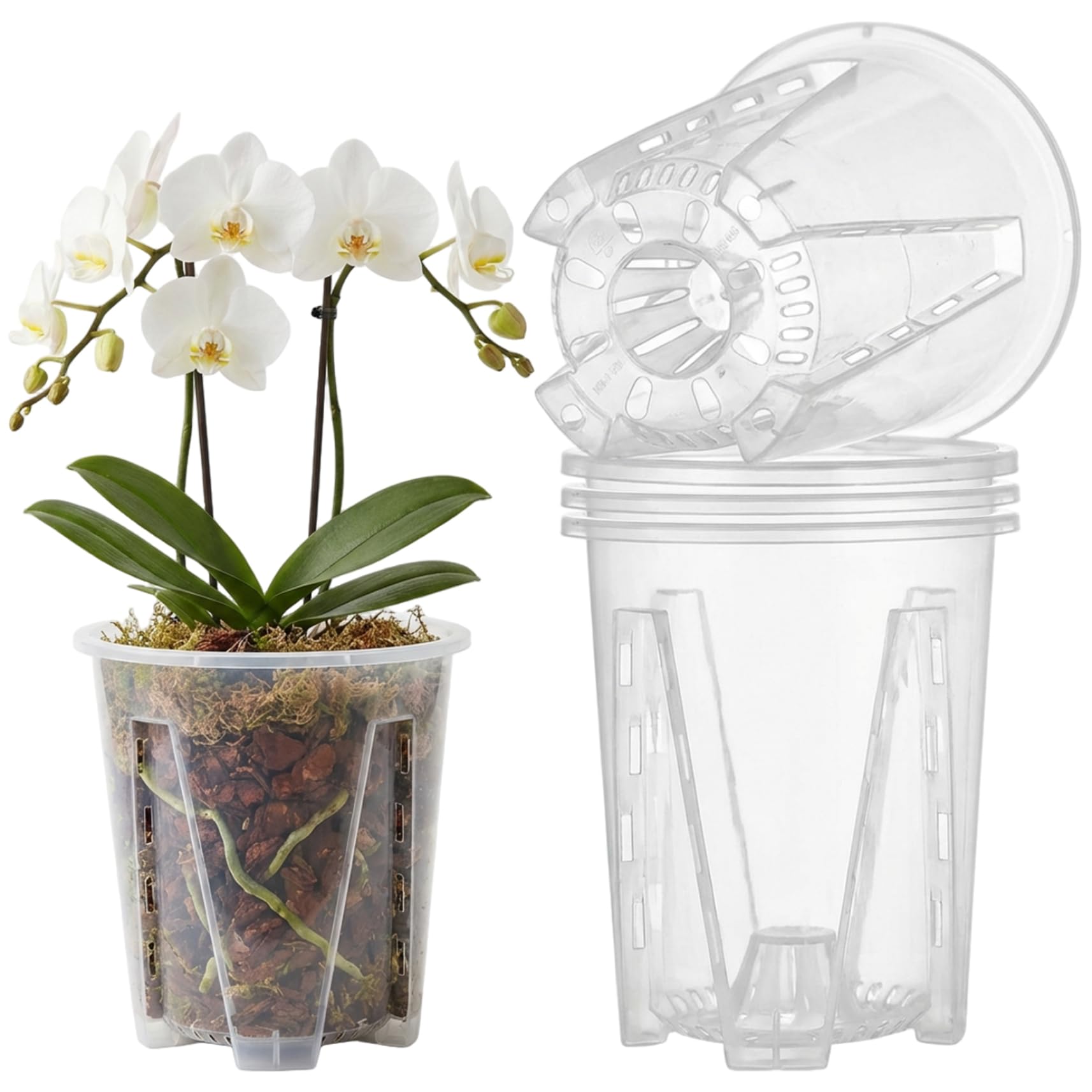 Pots d'orchidées transparents 12cm et jardinière à fente plastique pour plante intérieure