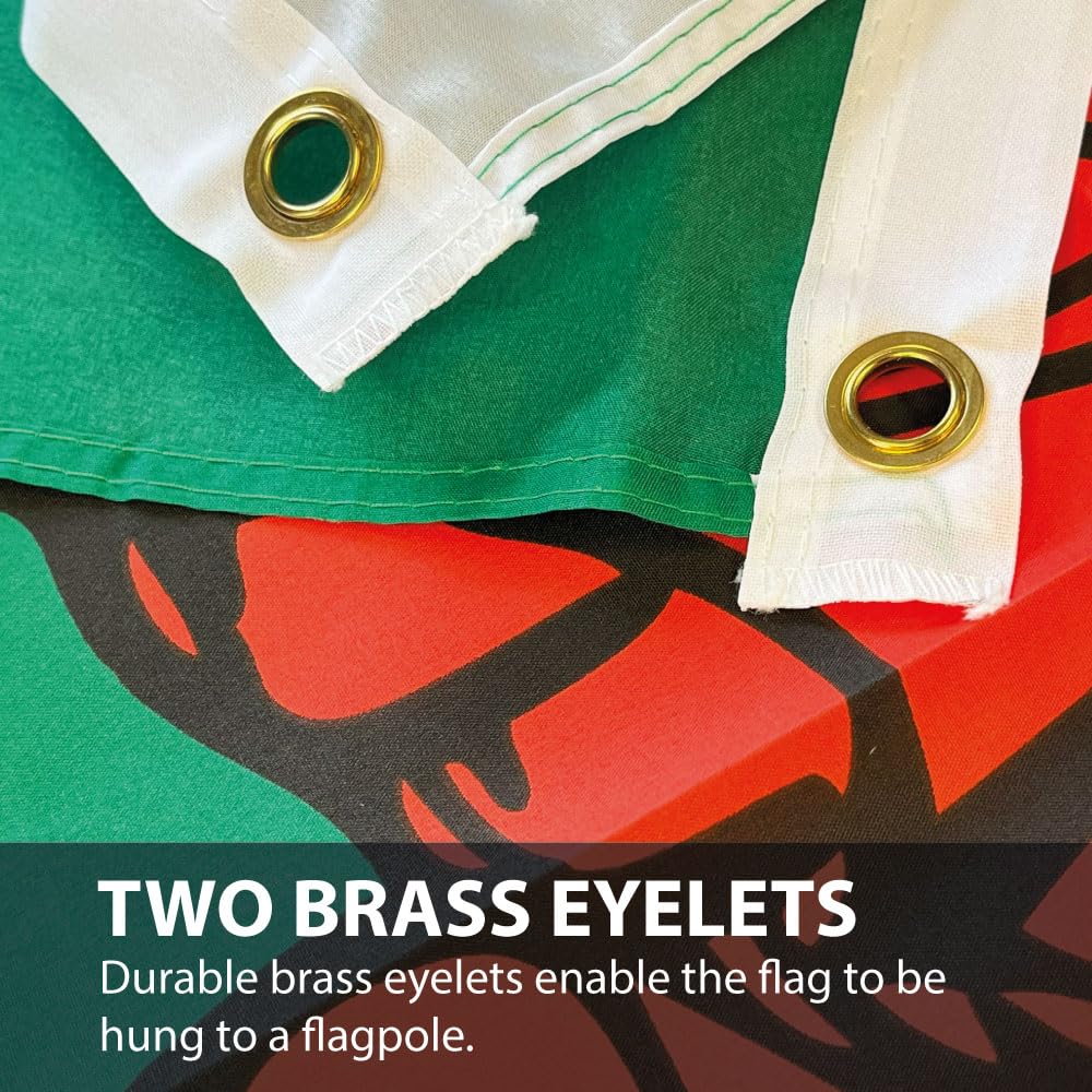 NWFlags Wales Flag 3ft x 2ft 75d Premium Polyester Suitable For Flagpoles, Multi Colour - Image 3