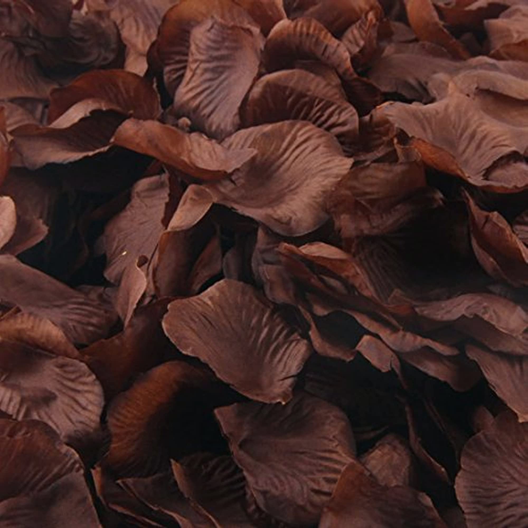 Fake Silk Rose Petals - 100/Bag (Brown)