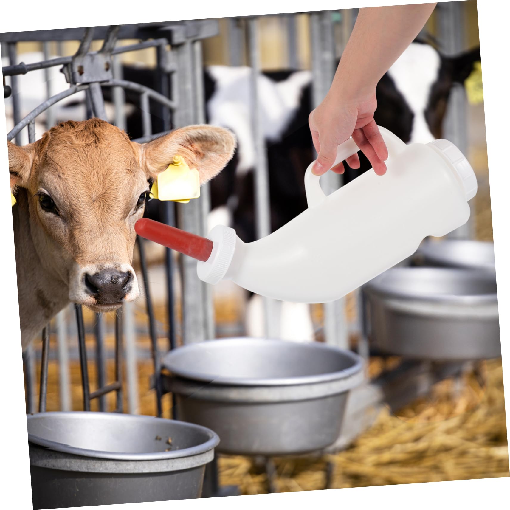 SUPVOX 2sets Bottiglie Per Allattamento Per e Latte Riutilizzabile Tettarella Per Allevatori e