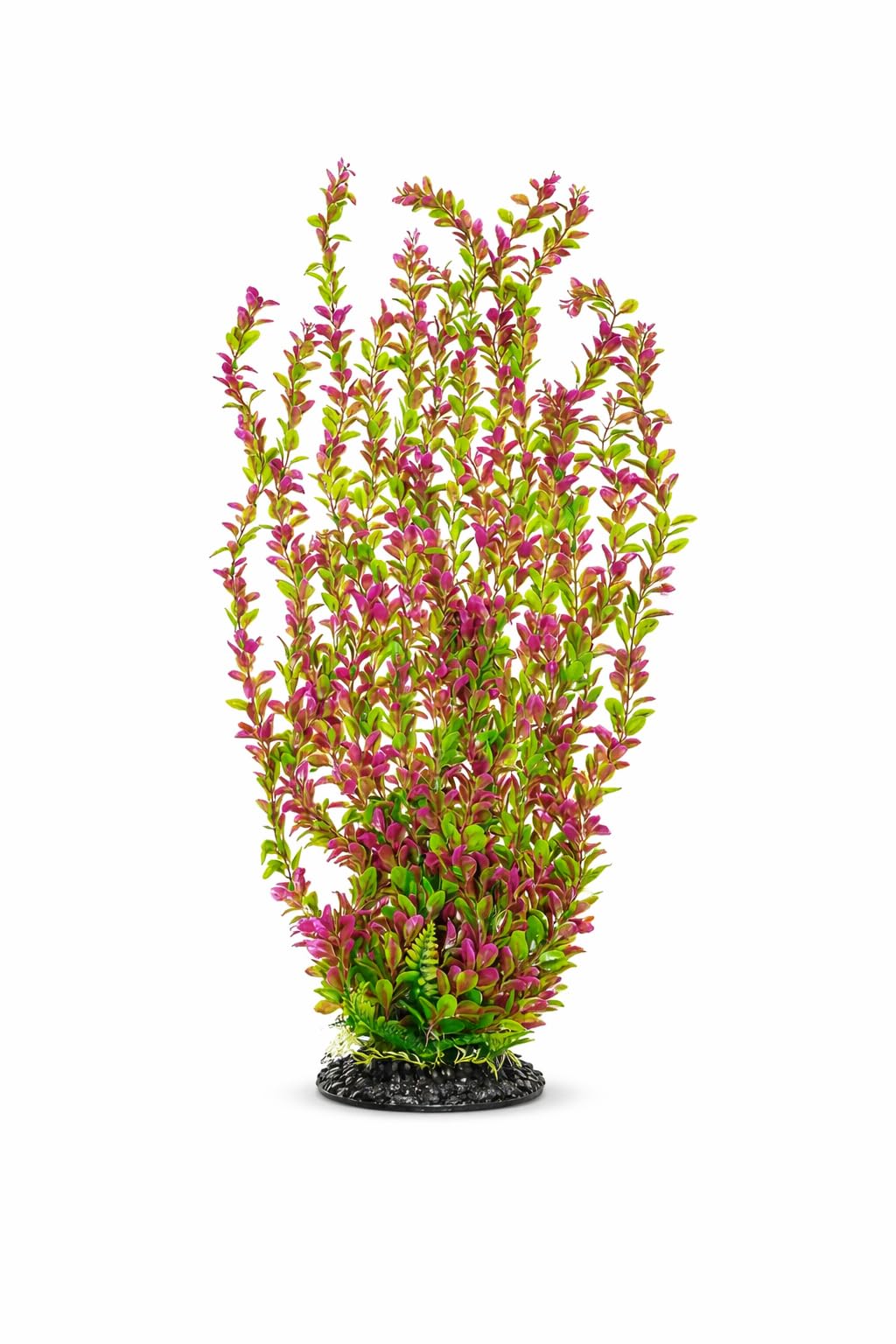 ATP Plnt Tall Pk/Gn 26in