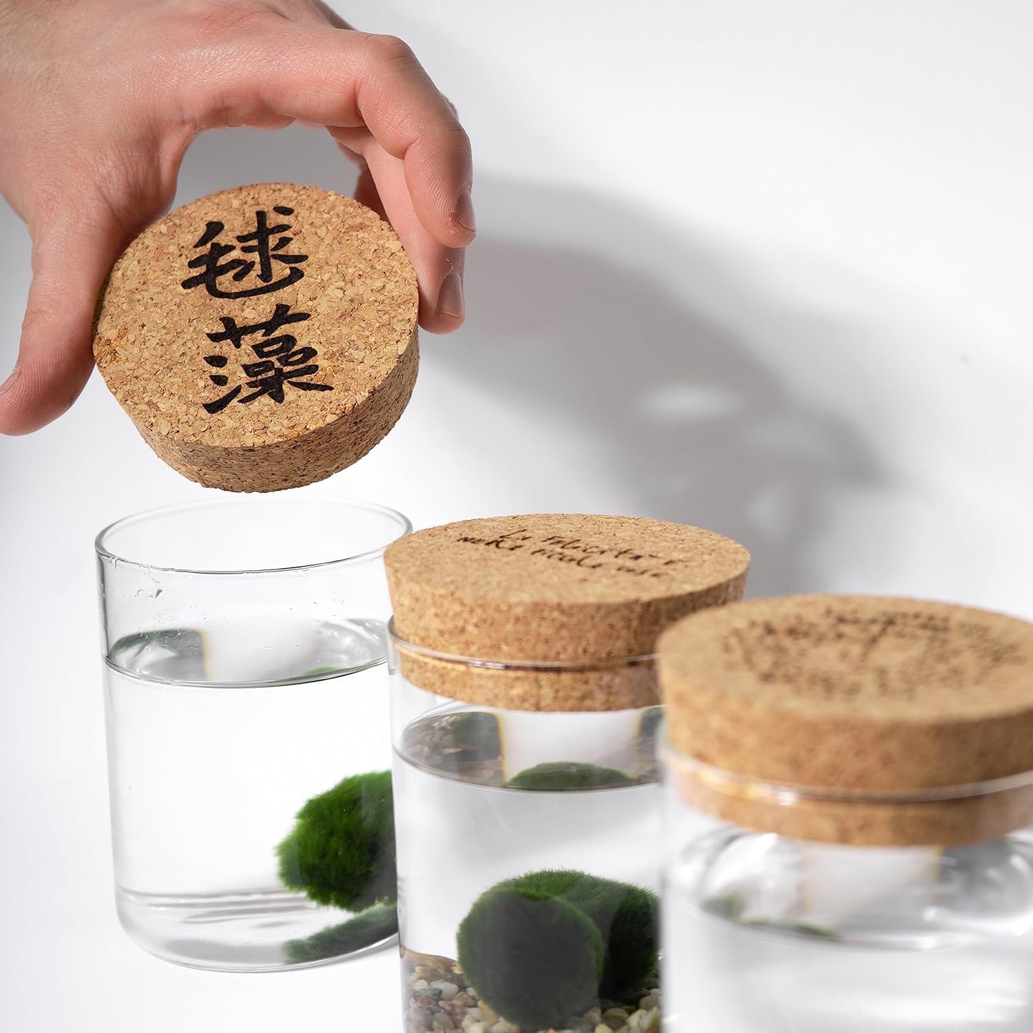 KAKI La Felicità è Nelle Piccole Cose Marimo Set sfuso diametro 2-3 cm - Originale e Certificato - Solo Marimo (10)