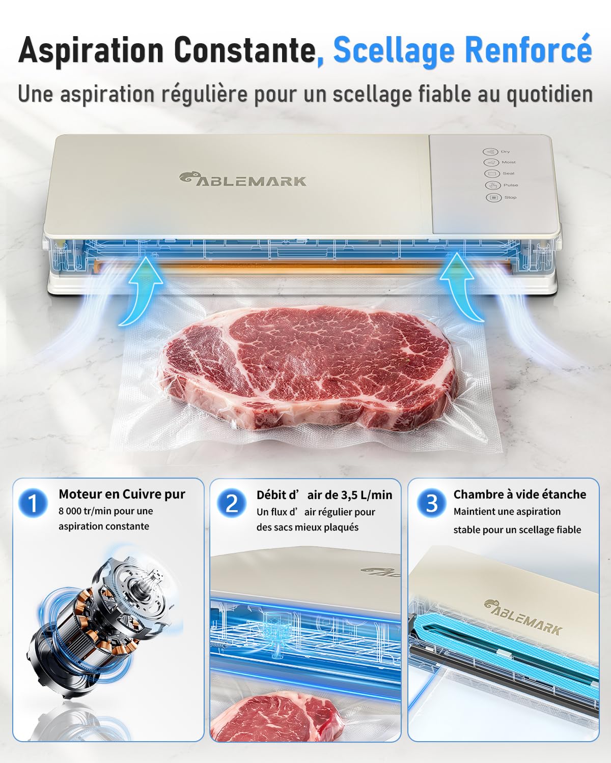 Machine Sous Vide Alimentaire, Soudure 30 cm, Sec et Humide