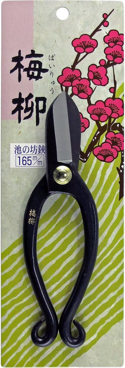 Bow scissors 165mm of Umeyanagi-chi (japan import)