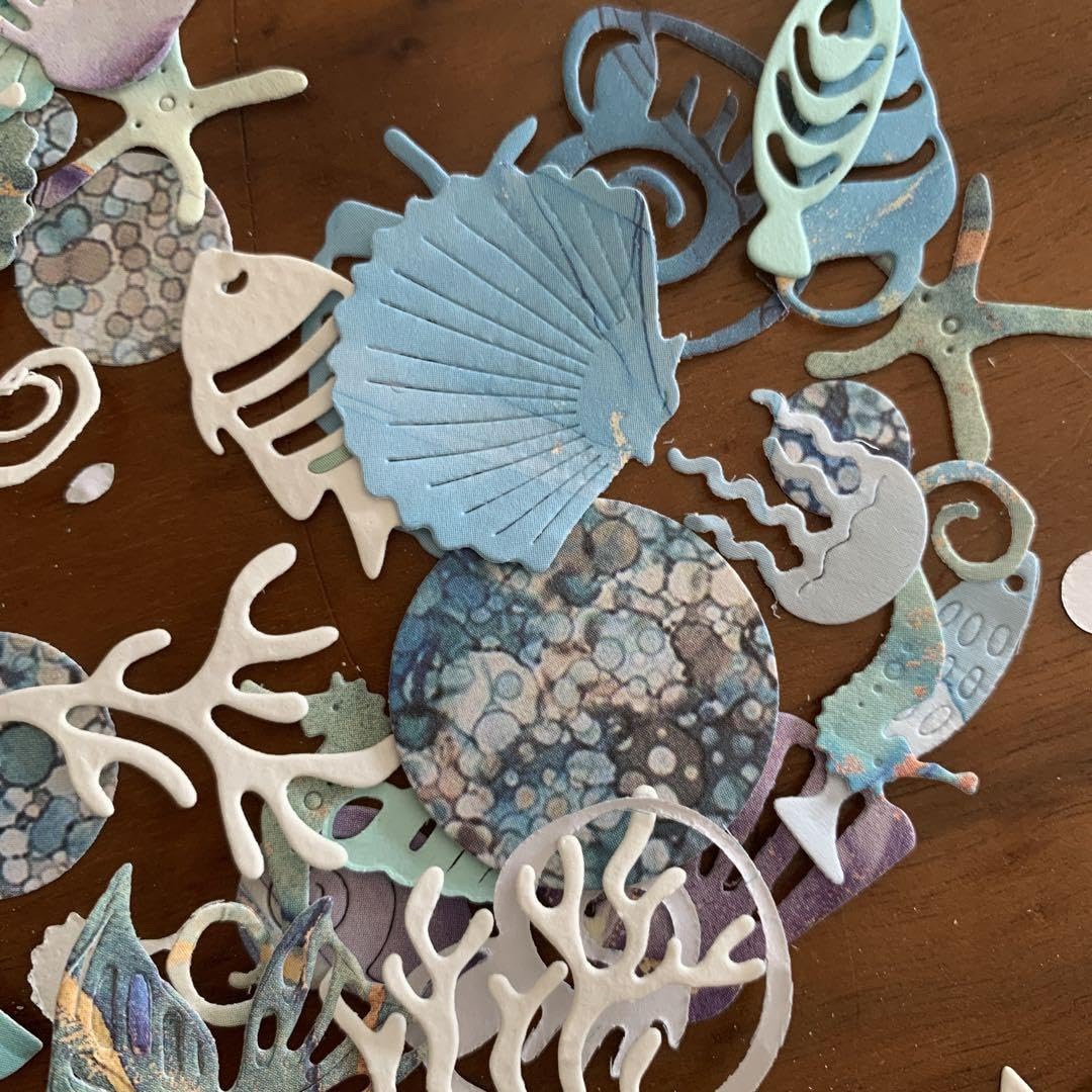 Amazon.co.jp: 海 海の生き物 シェル ペーパークラフト アルバム