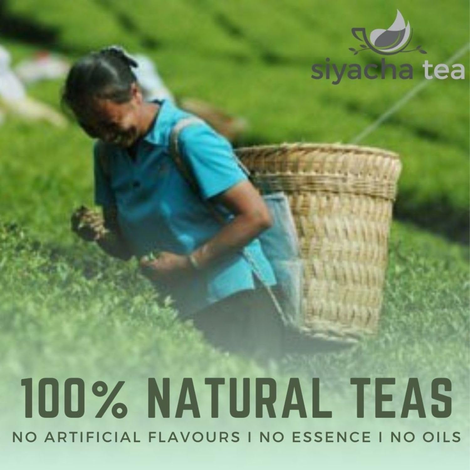 Siyacha Tea Rose Petals Whole, 100G Premium Dried Flower Buds Natural Herbal Infusion Caffeine Free Relaxing Floral 3