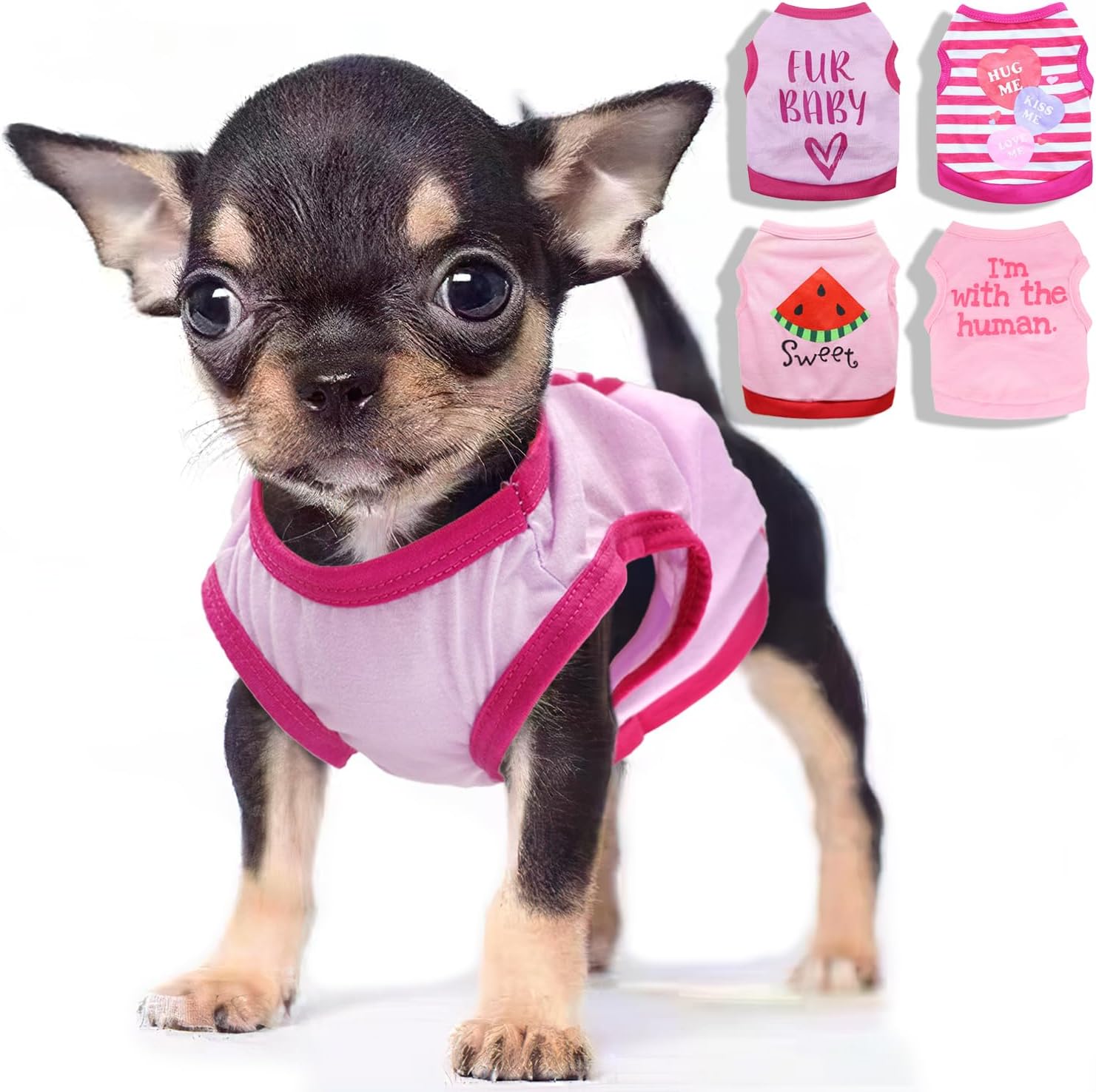 DroolingDog Small XS Dog Clothes Girl Female Yorkie Dog